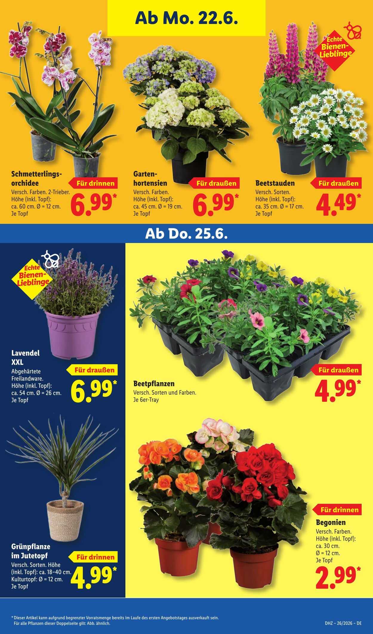 Prospekt Lidl 22.06.2026 - 27.06.2026