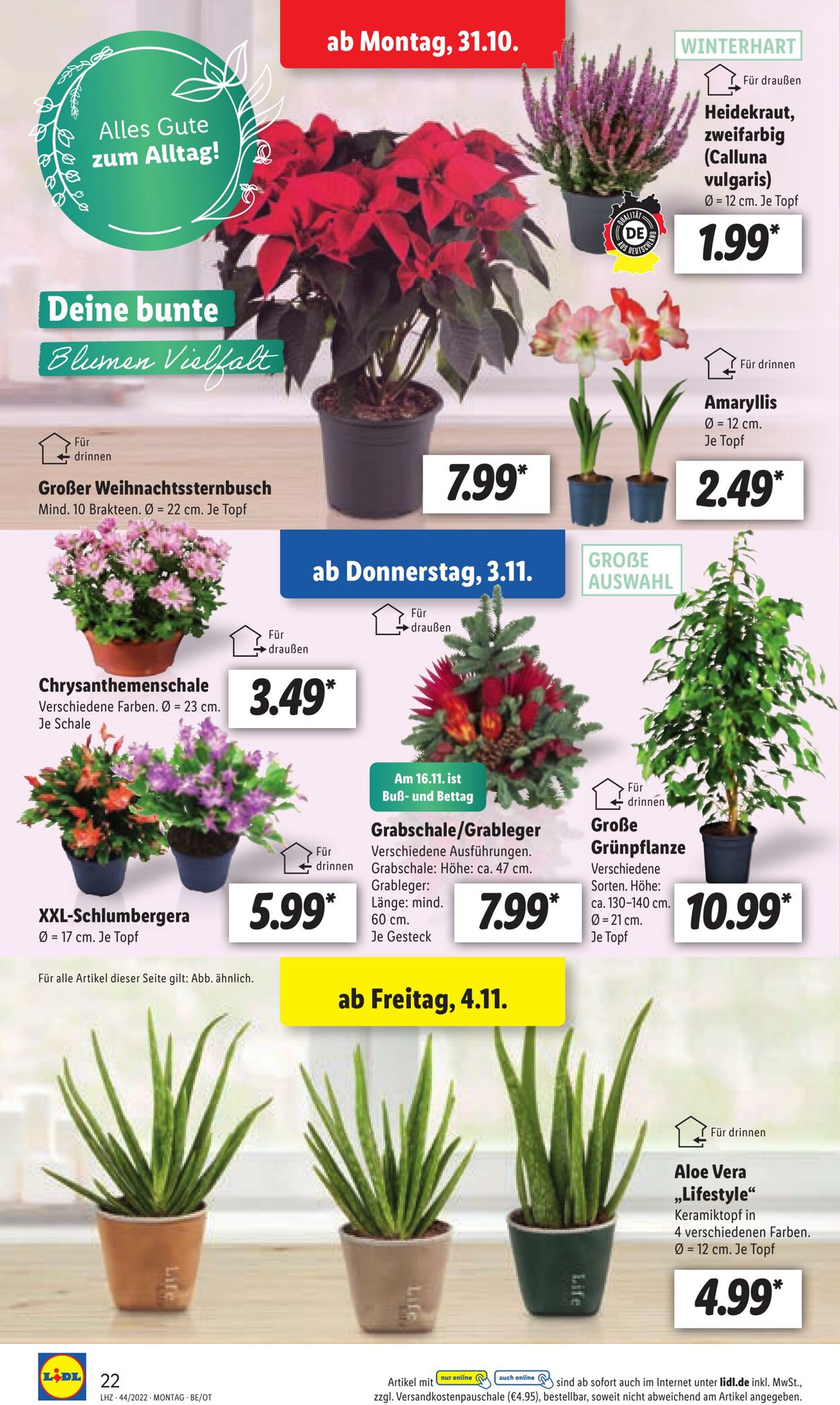 Prospekt Lidl 31.10.2022 - 05.11.2022