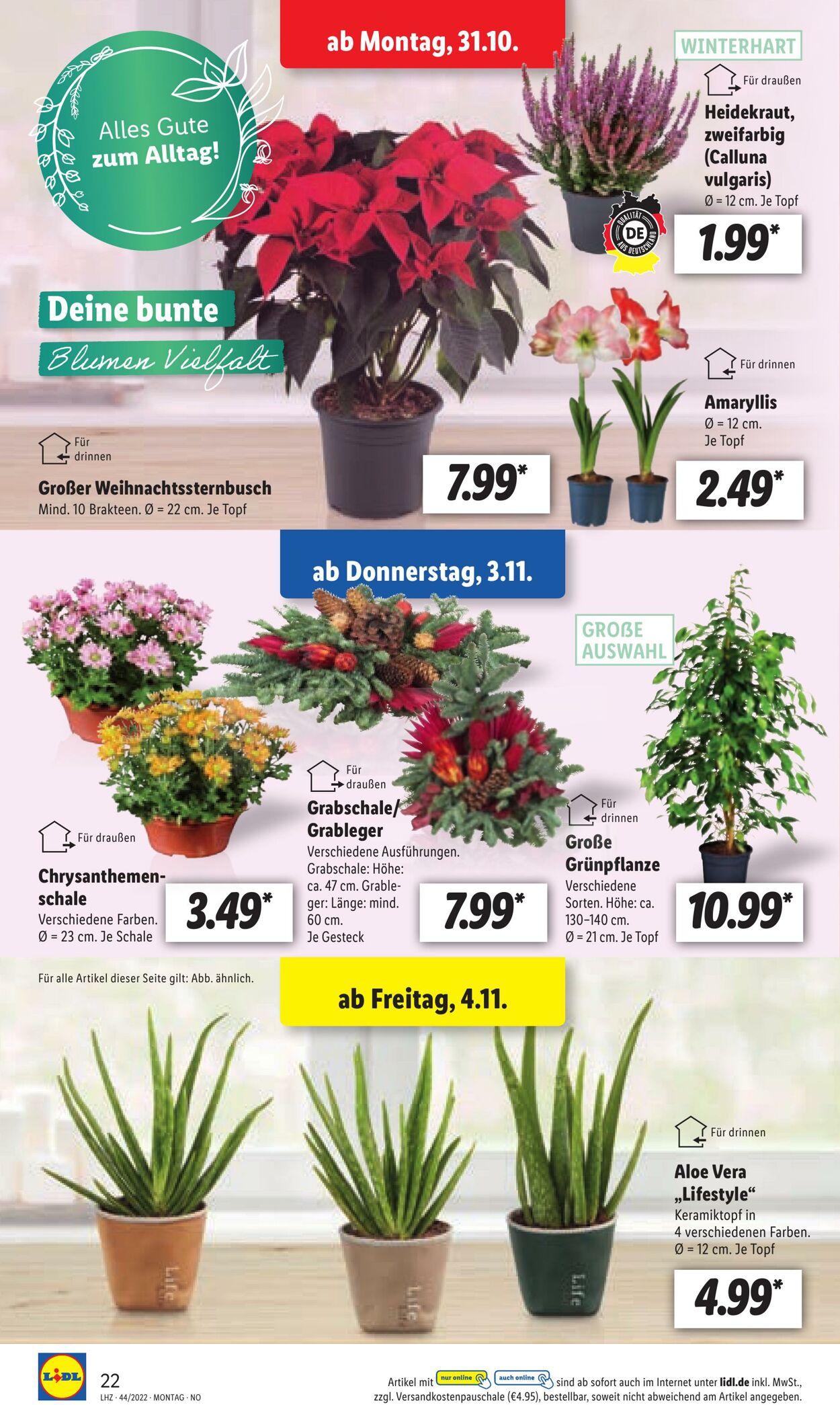 Prospekt Lidl 31.10.2022 - 05.11.2022