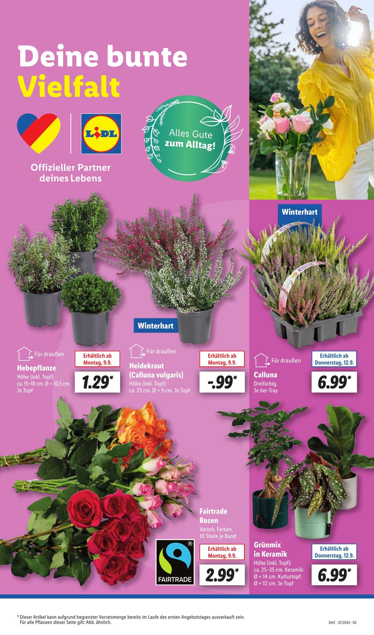 Prospekt Lidl 08.09.2024 - 14.09.2024