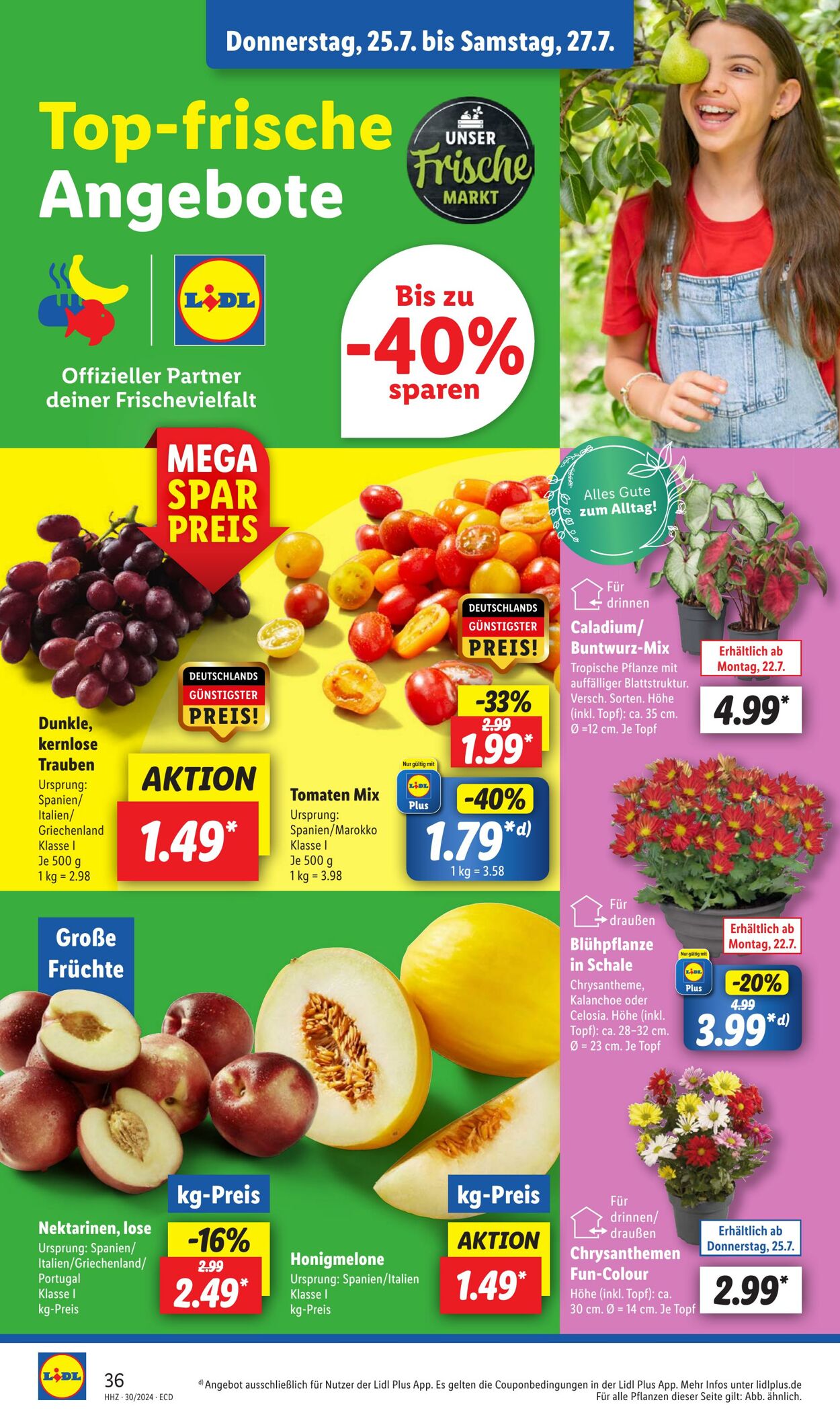 Prospekt Lidl 22.07.2024 - 27.07.2024