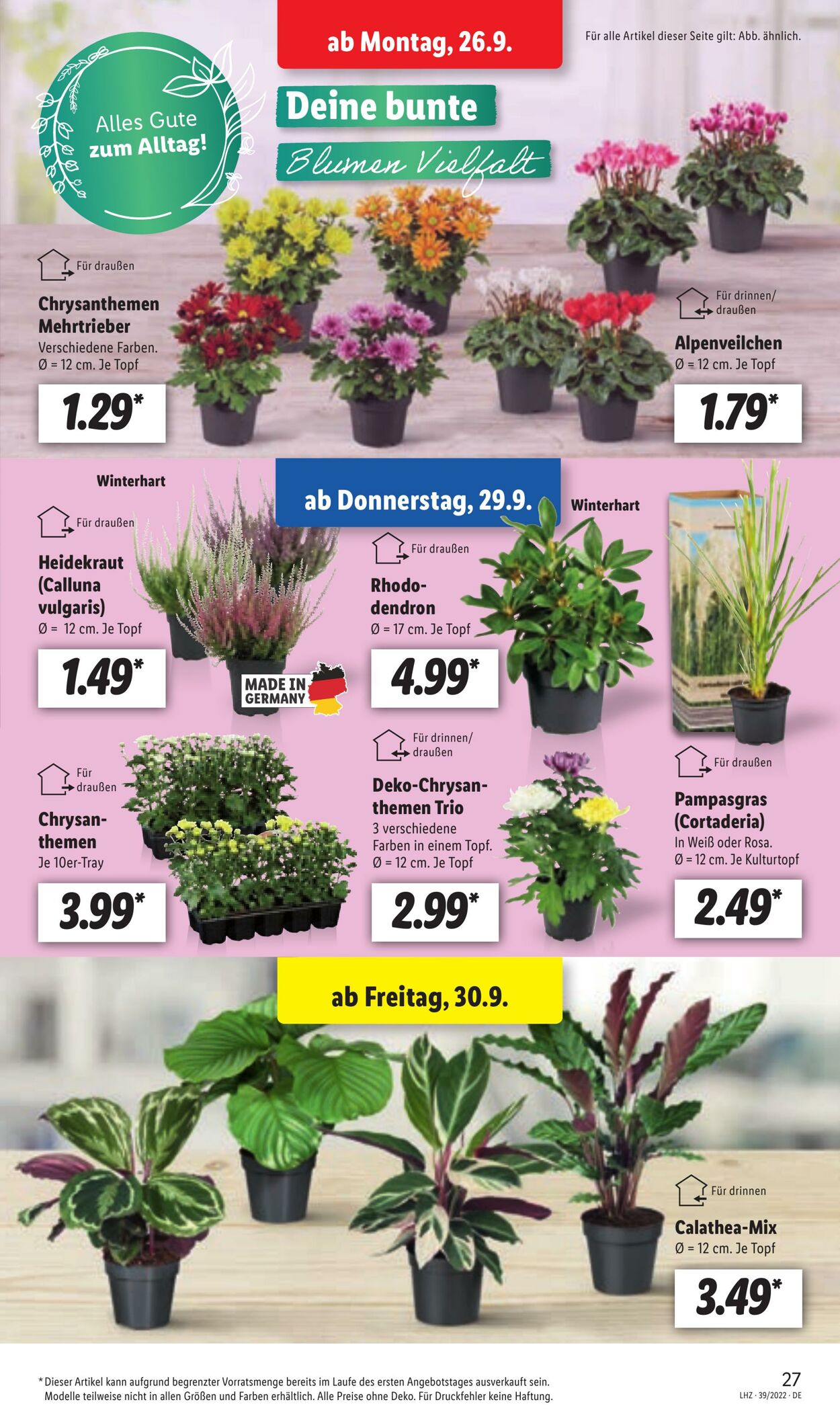 Prospekt Lidl 26.09.2022 - 01.10.2022