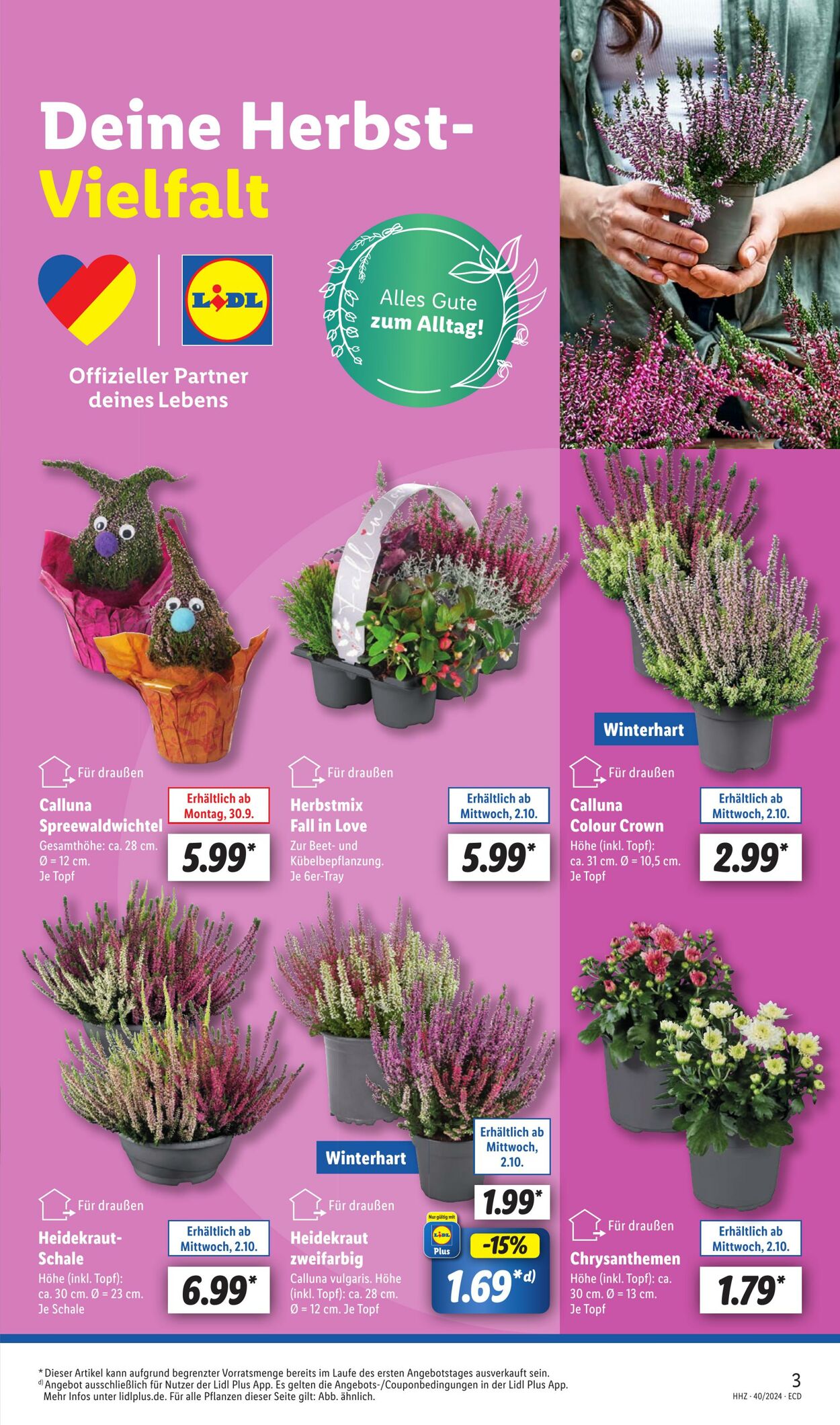 Prospekt Lidl 30.09.2024 - 05.10.2024