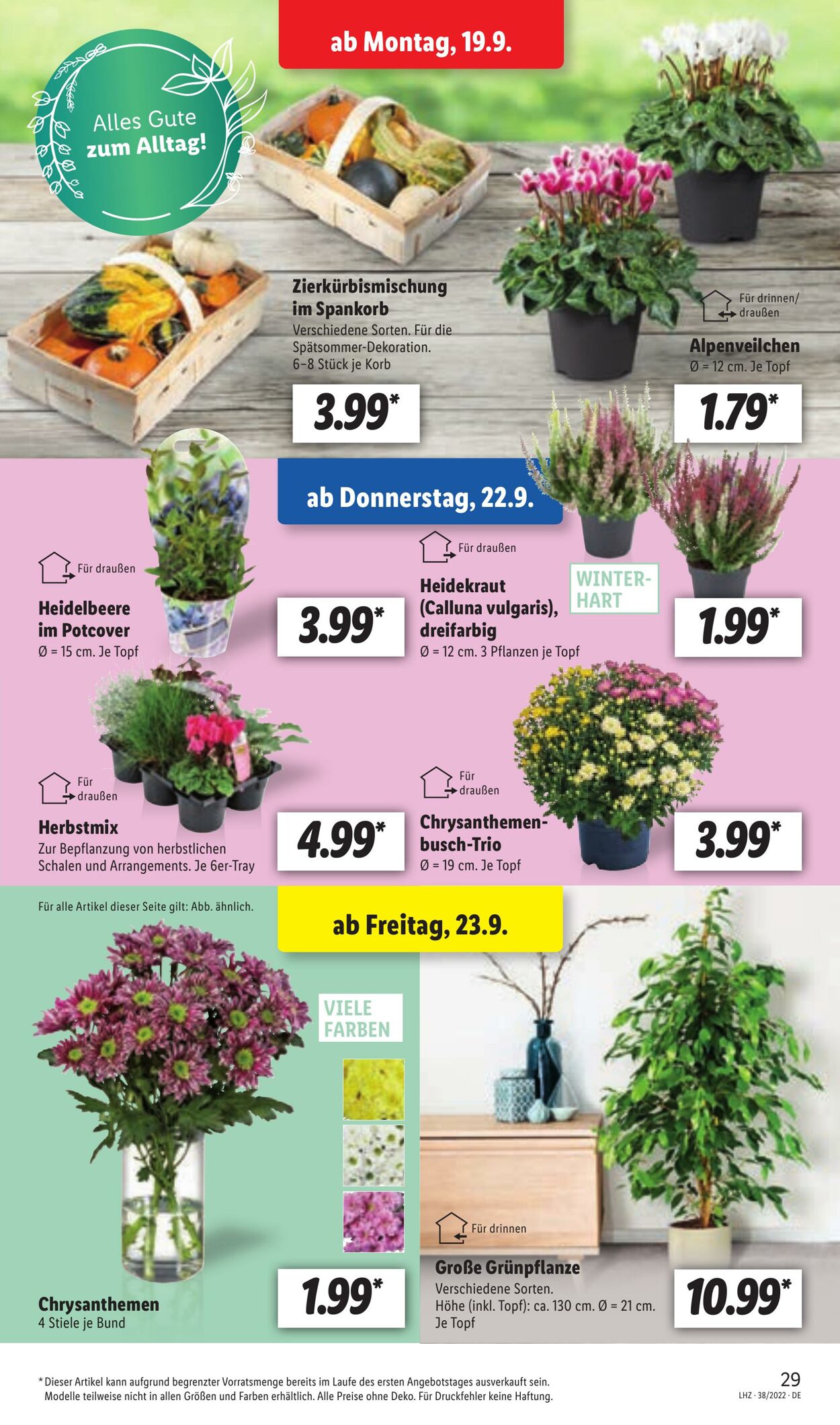 Prospekt Lidl 19.09.2022 - 24.09.2022