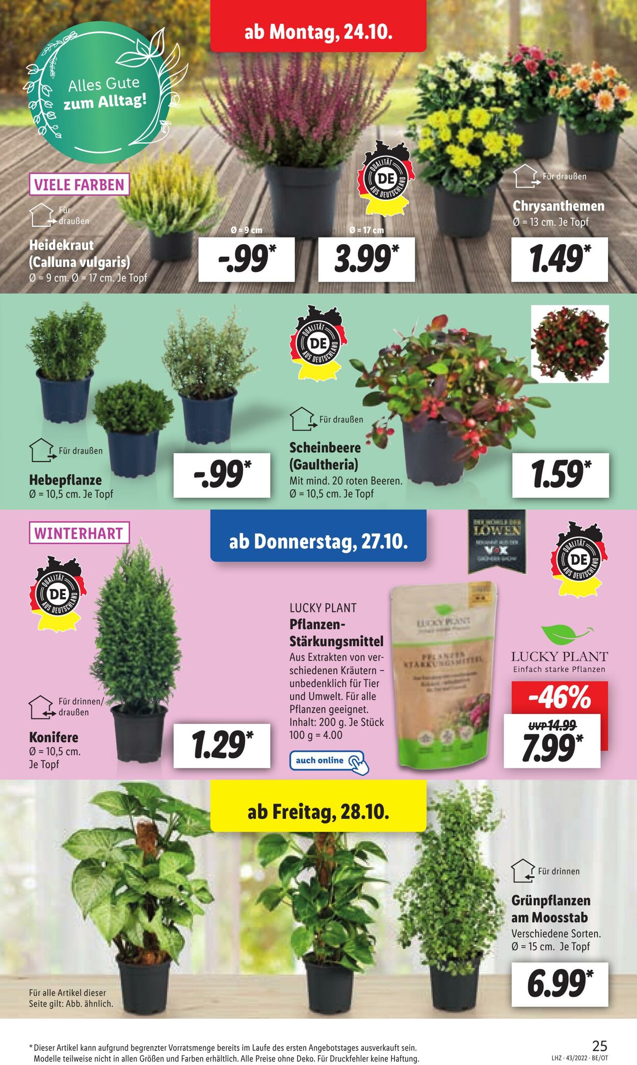 Prospekt Lidl 24.10.2022 - 29.10.2022