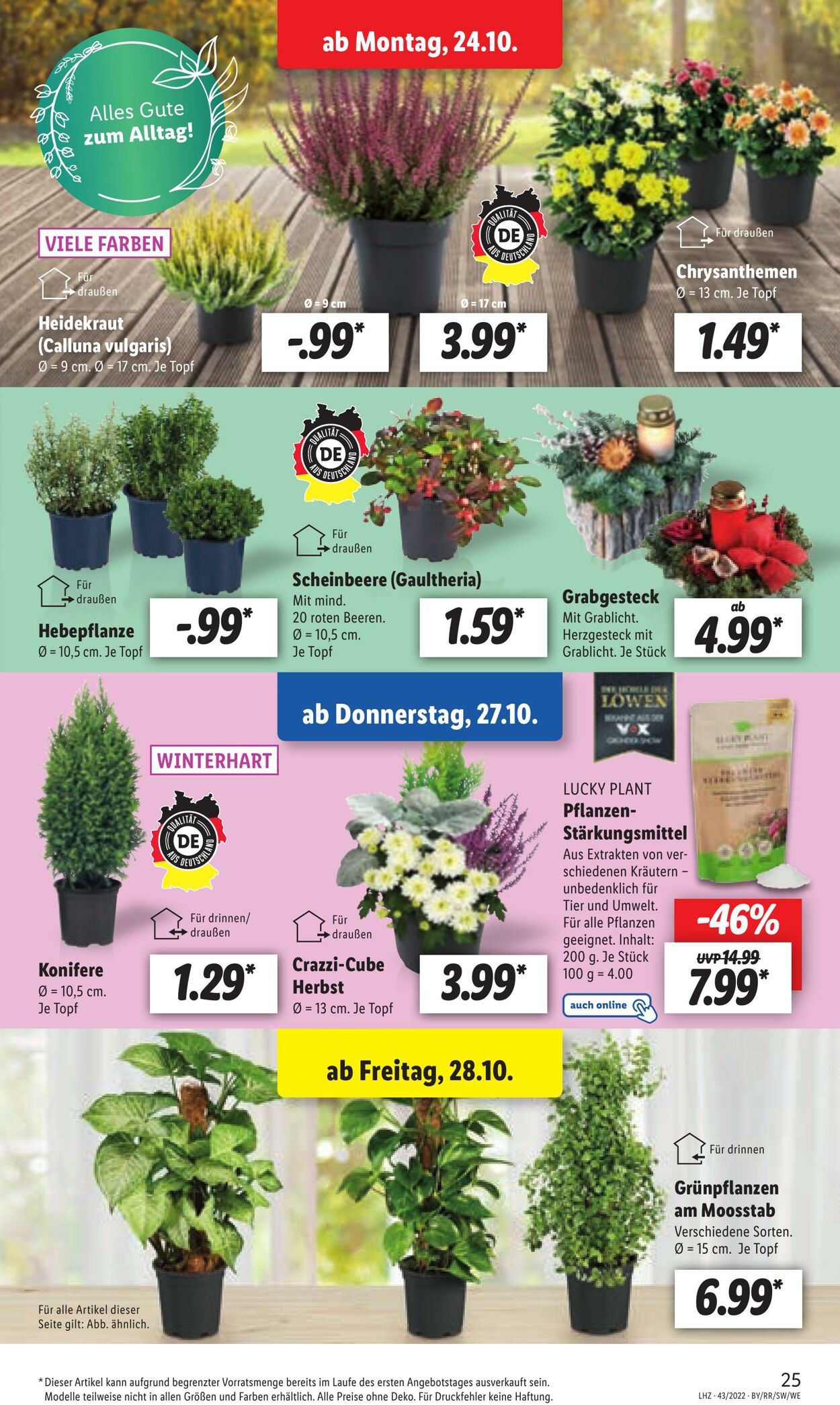 Prospekt Lidl 24.10.2022 - 29.10.2022