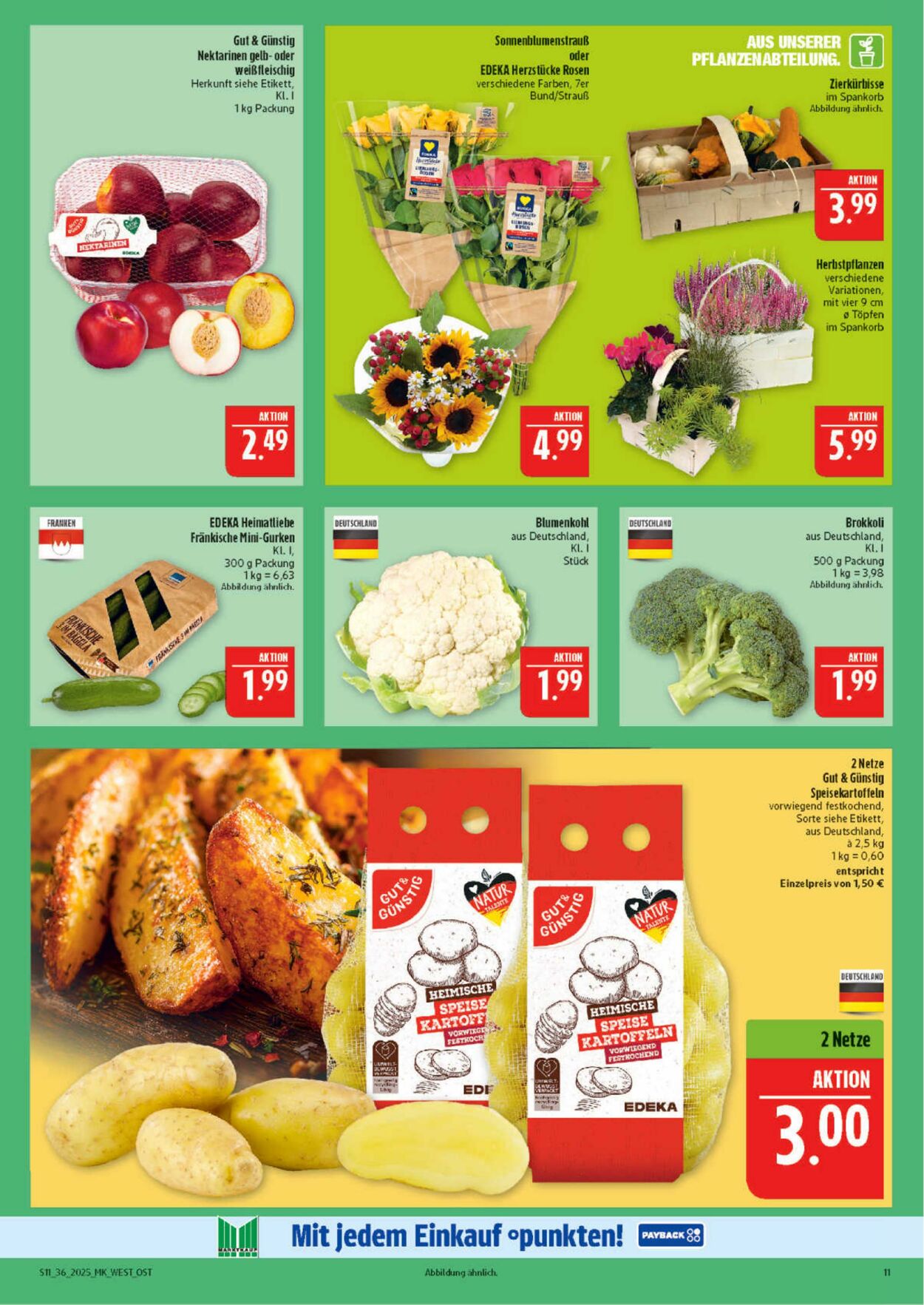 Prospekt Marktkauf 01.09.2025 - 15.09.2025