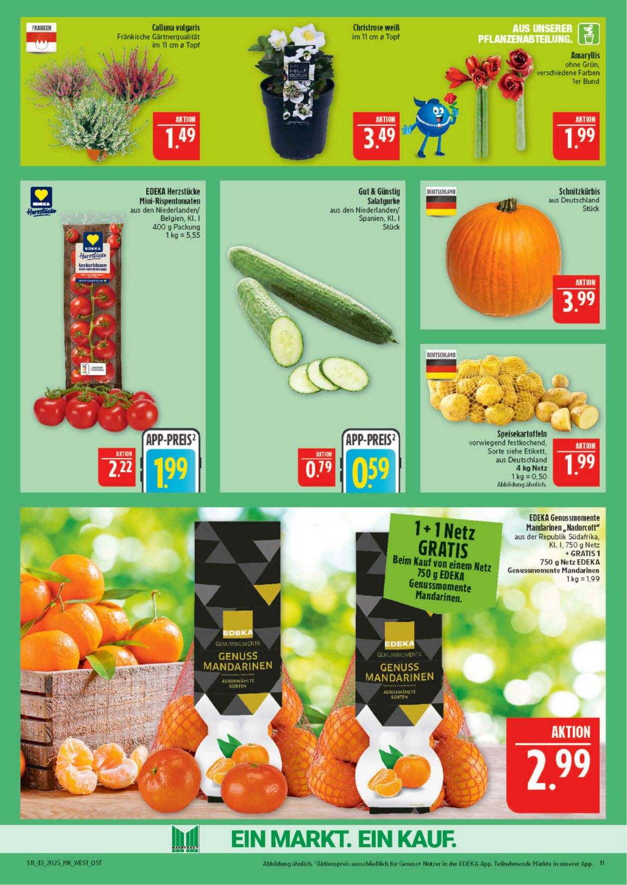 Prospekt Marktkauf 20.10.2025 - 25.10.2025