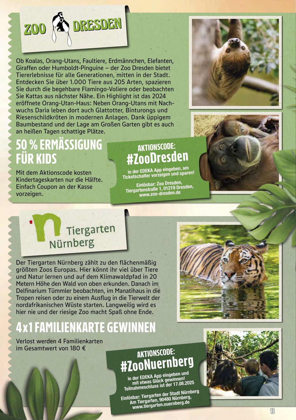 Prospekt Marktkauf 04.08.2025 - 09.08.2025