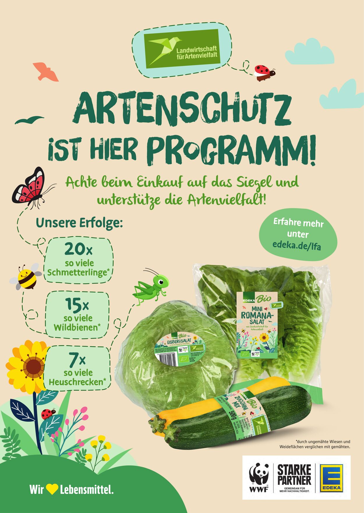 Prospekt Marktkauf 11.08.2025 - 16.08.2025