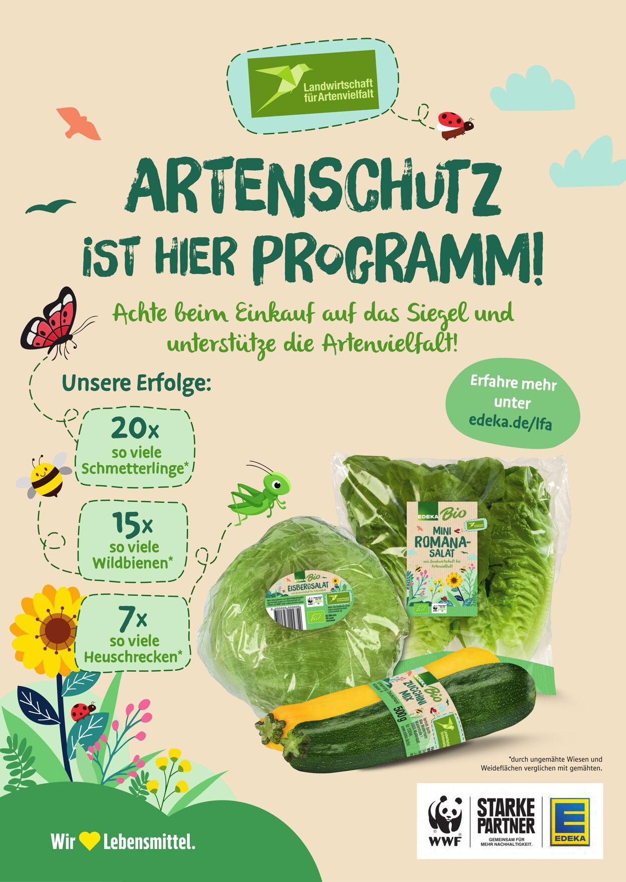 Prospekt Marktkauf 25.08.2025 - 30.08.2025