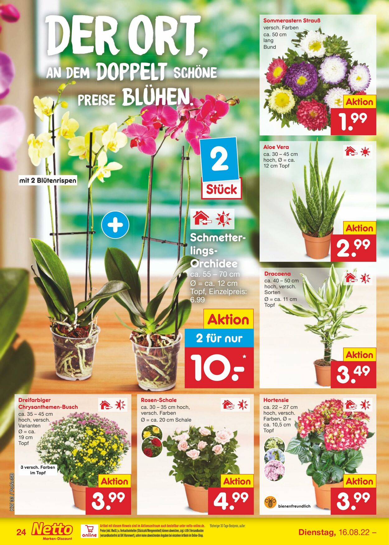 Prospekt Netto-Marken-Discount 16.08.2022 - 20.08.2022