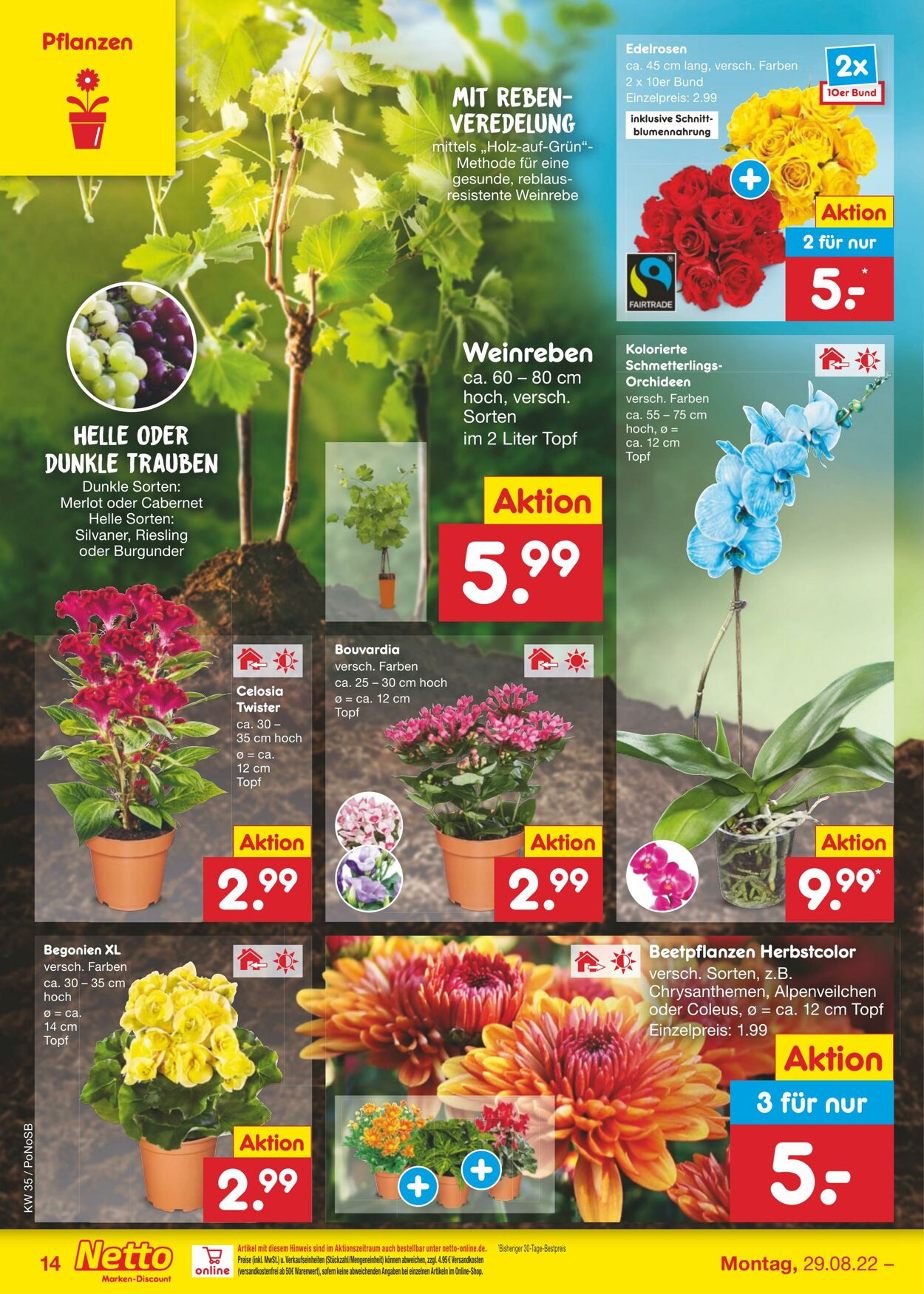 Prospekt Netto-Marken-Discount 29.08.2022 - 03.09.2022