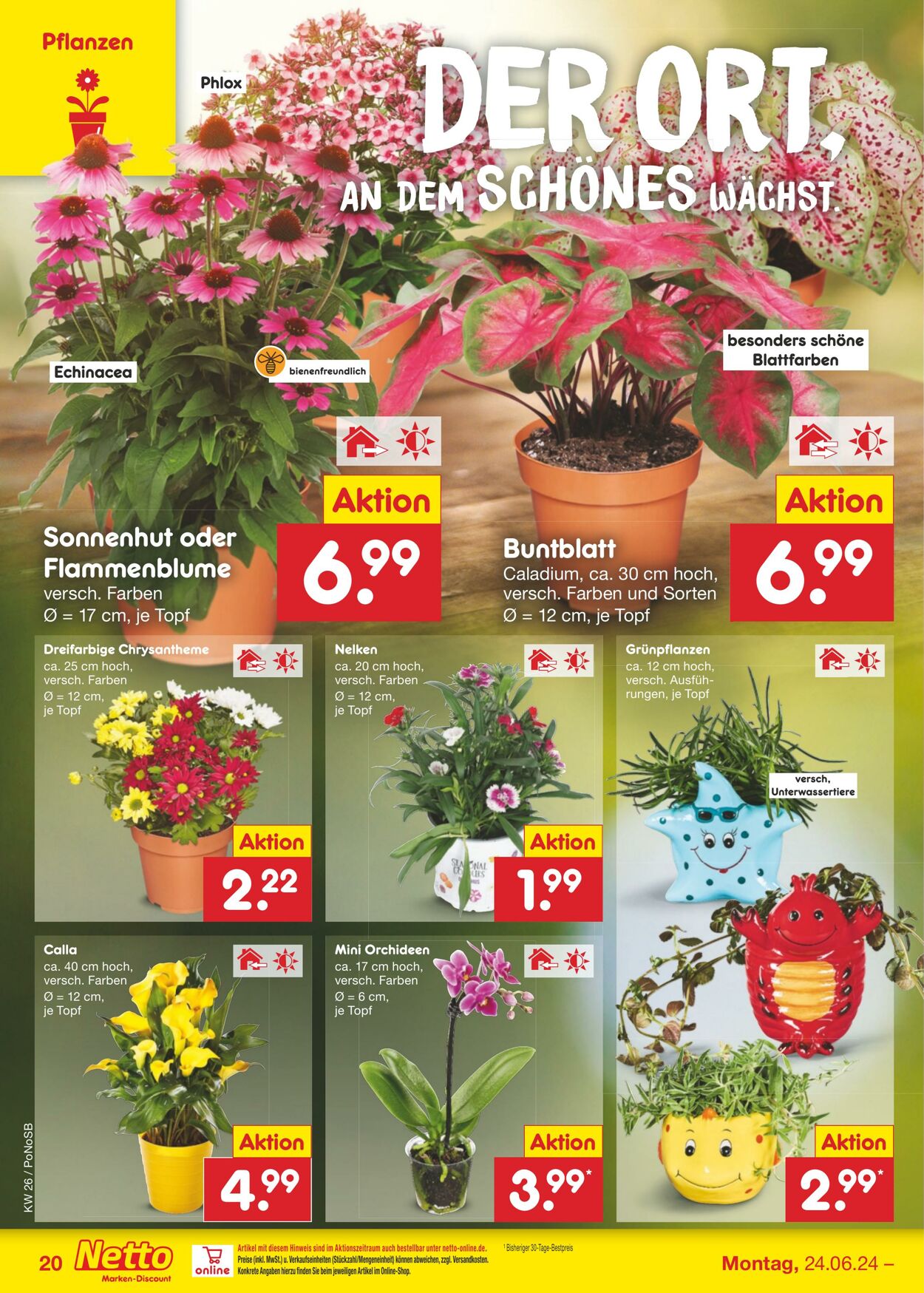 Prospekt Netto-Marken-Discount 24.06.2024 - 30.06.2024