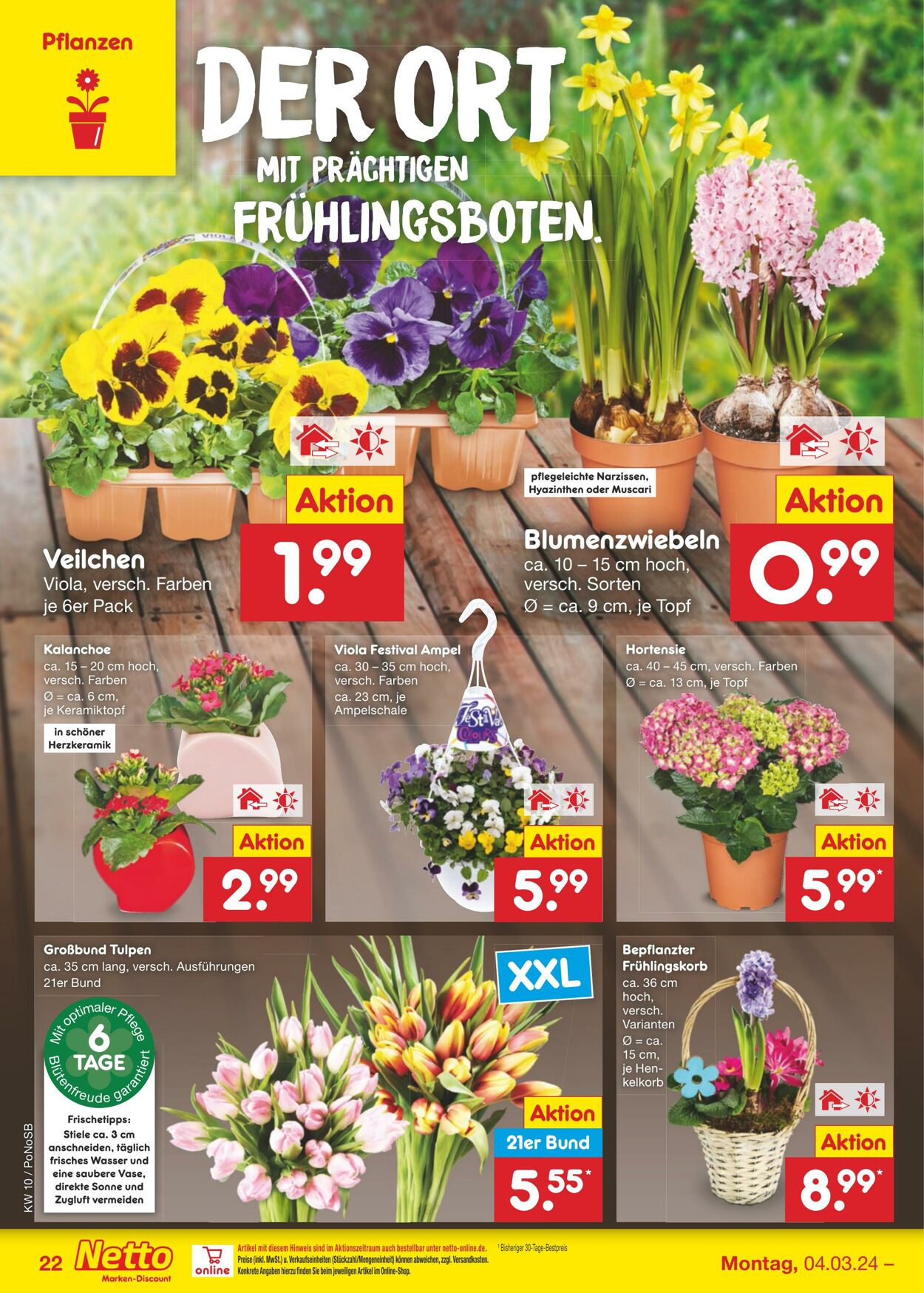 Prospekt Netto-Marken-Discount 05.03.2024 - 09.03.2024