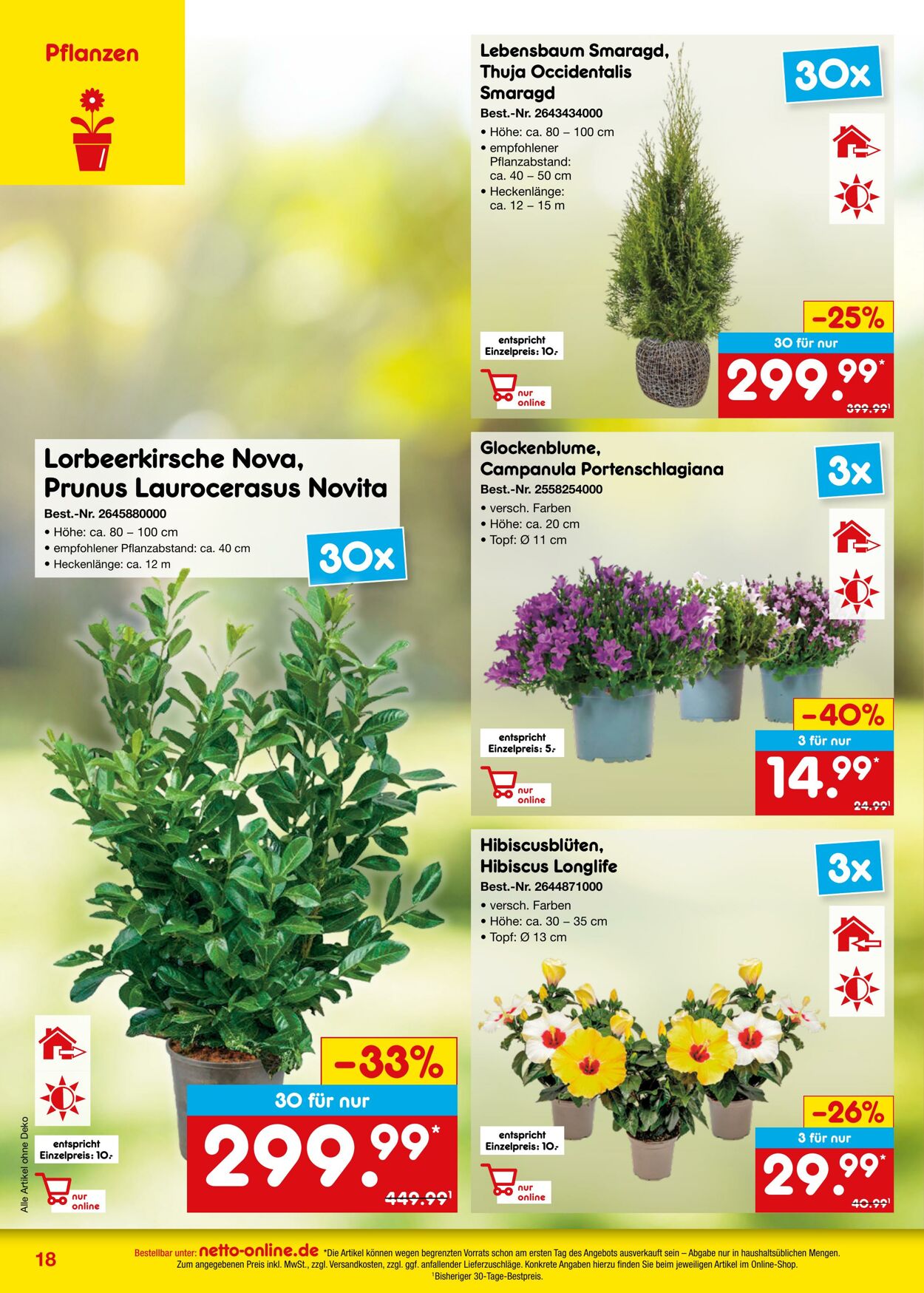 Prospekt Netto-Marken-Discount 01.09.2024 - 30.09.2024