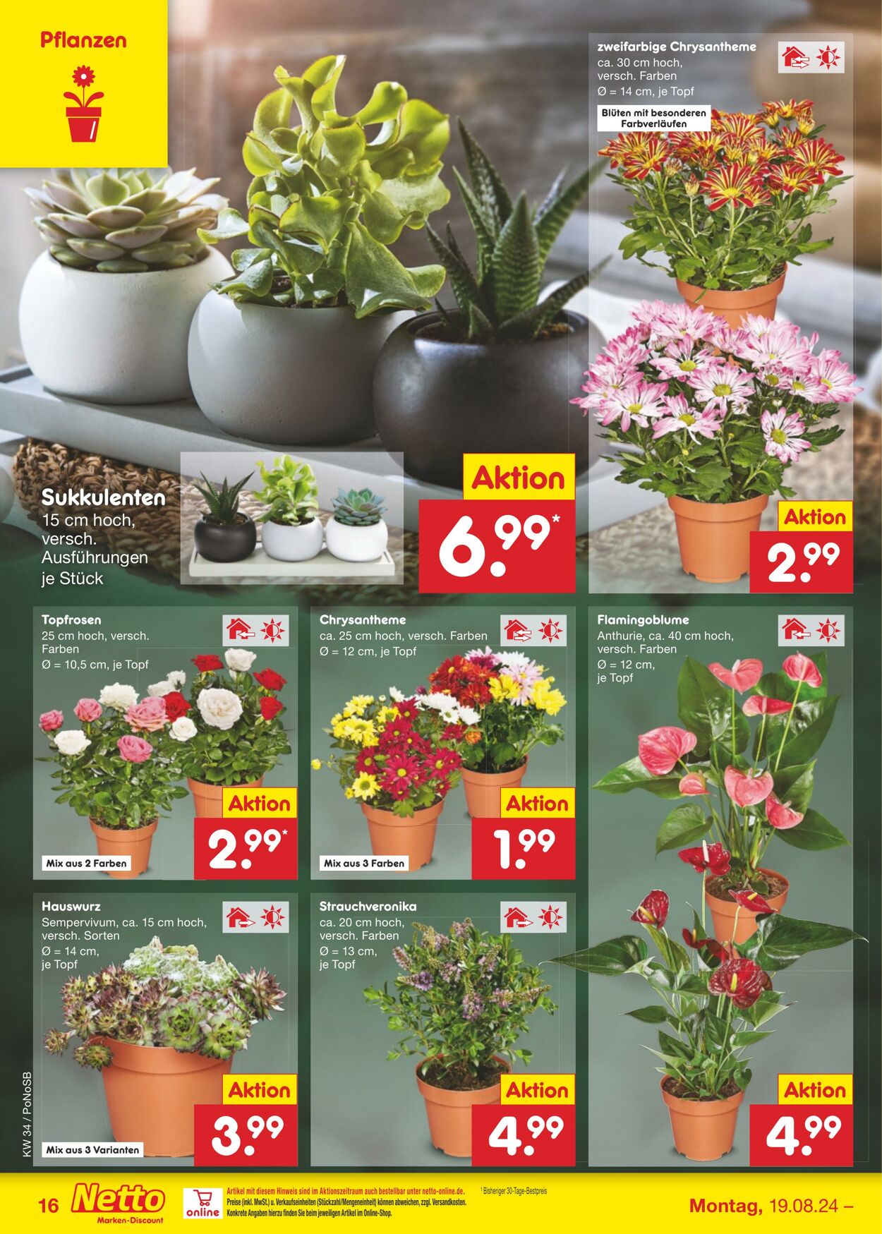 Prospekt Netto-Marken-Discount 19.08.2024 - 24.08.2024