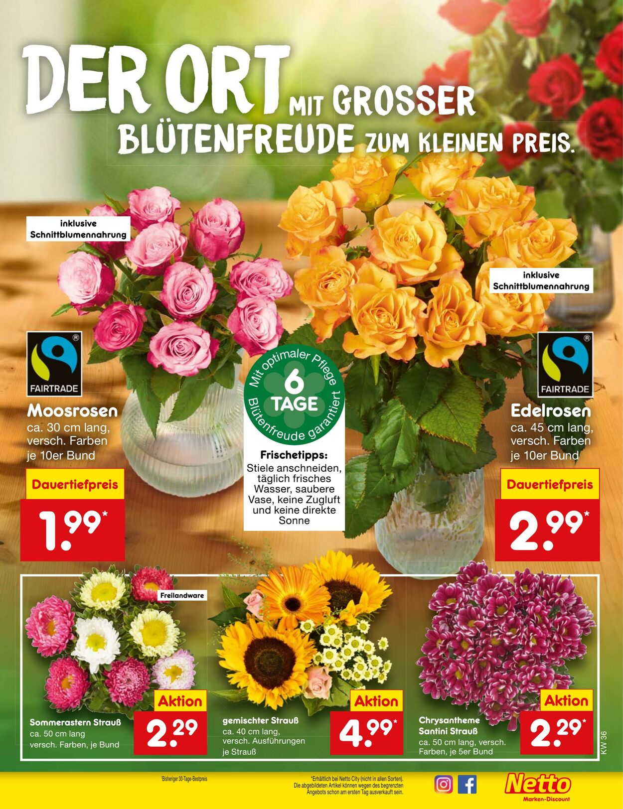 Prospekt Netto-Marken-Discount 02.09.2024 - 07.09.2024