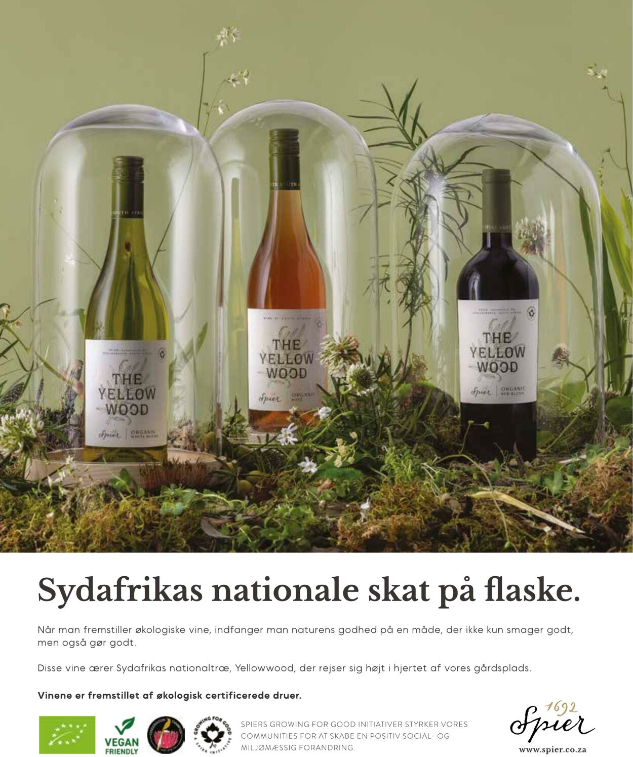 Prospekt Netto 29.02.2024 - 01.03.2032