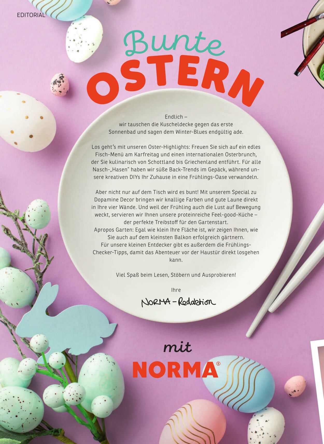 Prospekt Norma 23.02.2026 - 28.02.2026