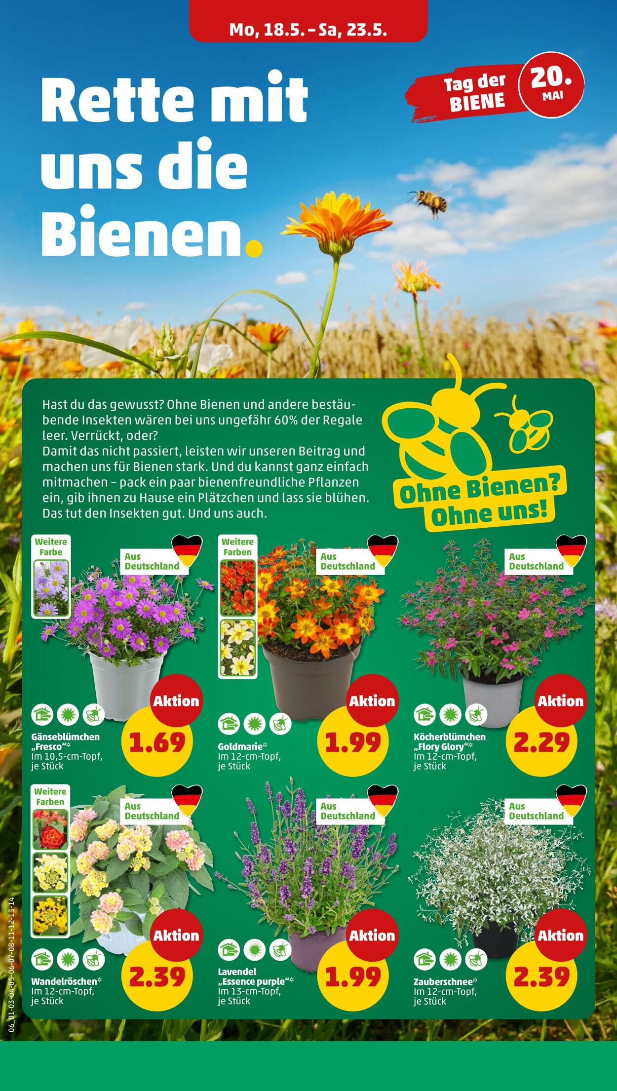 Prospekt Penny 18.05.2026 - 23.05.2026