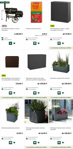 Katalog Pflanzen-Kölle 27.06.2022-06.07.2022
