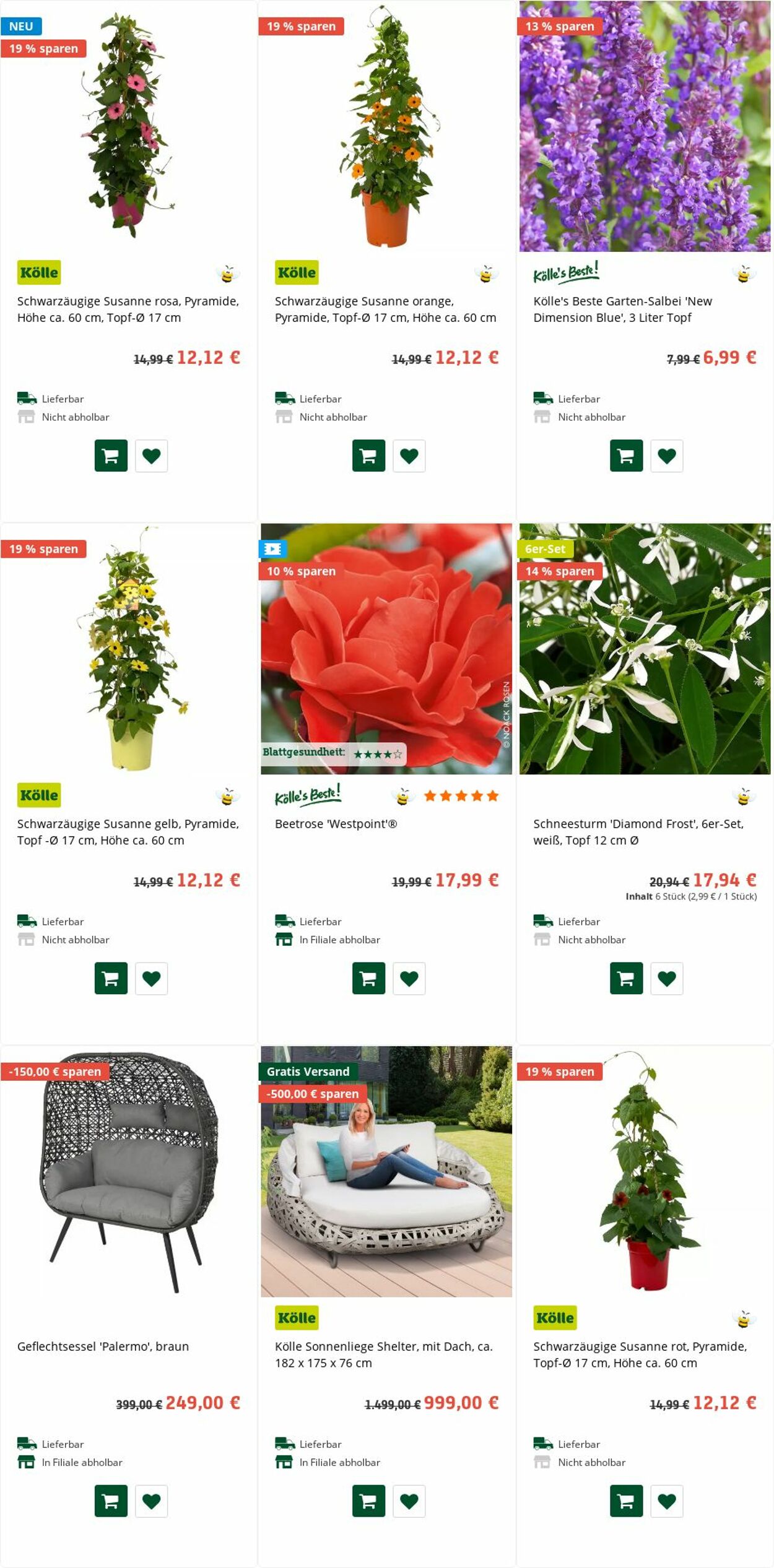 Prospekt Pflanzen-Kölle 16.05.2022 - 25.05.2022