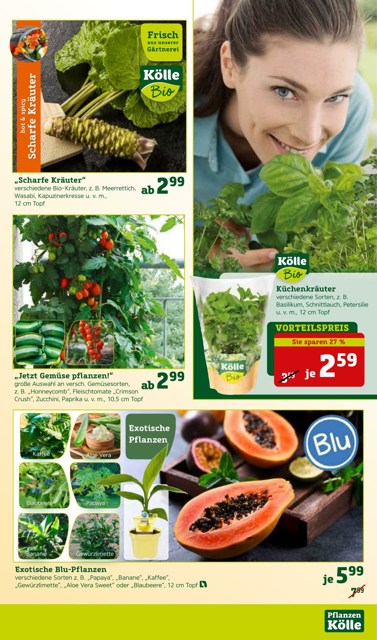 Prospekt Pflanzen-Kölle 15.05.2023 - 21.05.2023