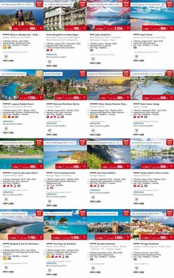 Prospekt Rewe 11.08.2025 - 20.08.2025