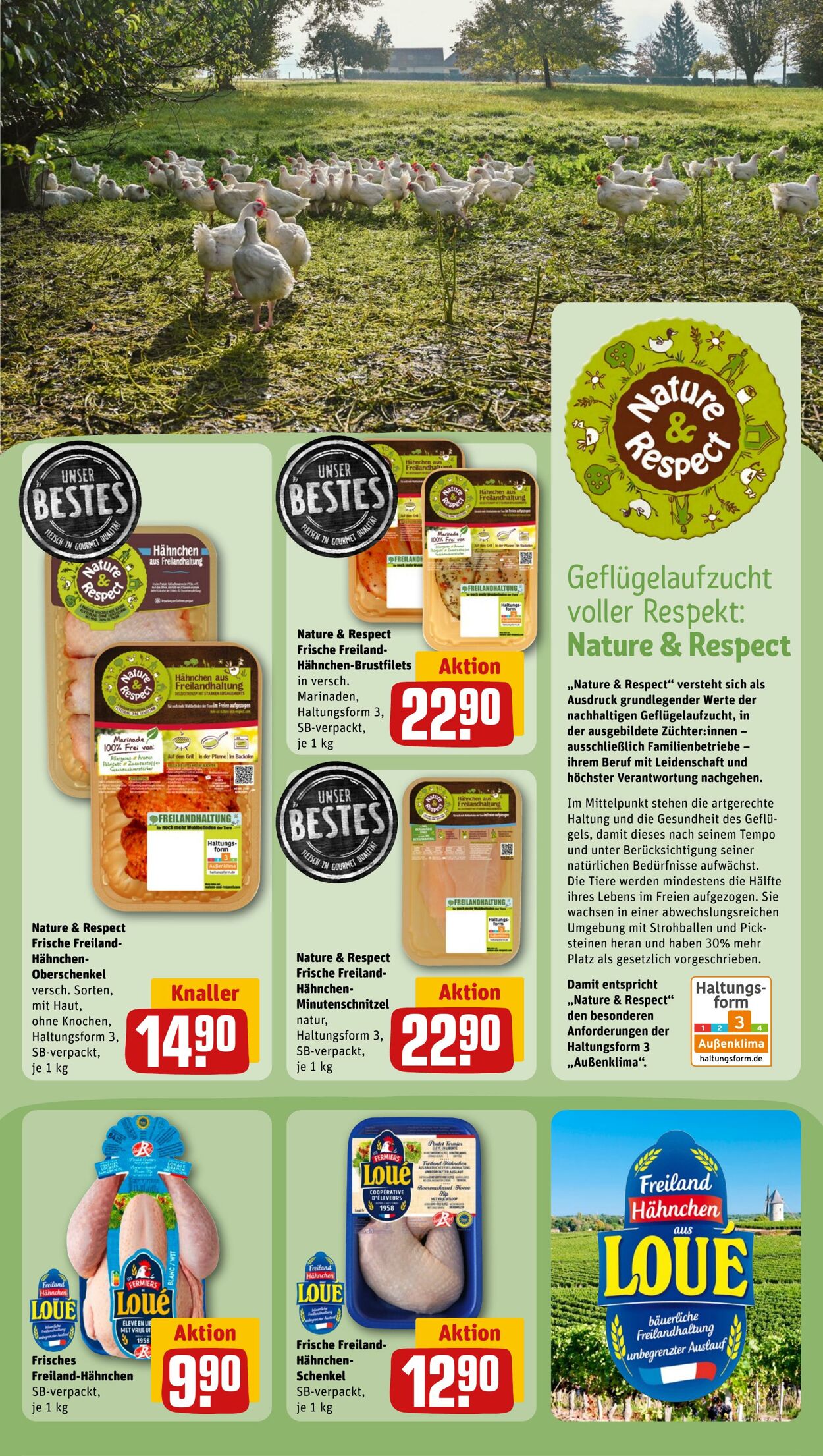 Prospekt Rewe 10.07.2023 - 15.07.2023