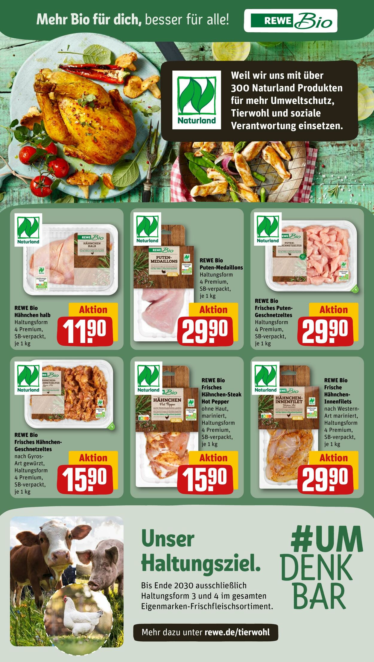 Prospekt Rewe 30.06.2024 - 06.07.2024