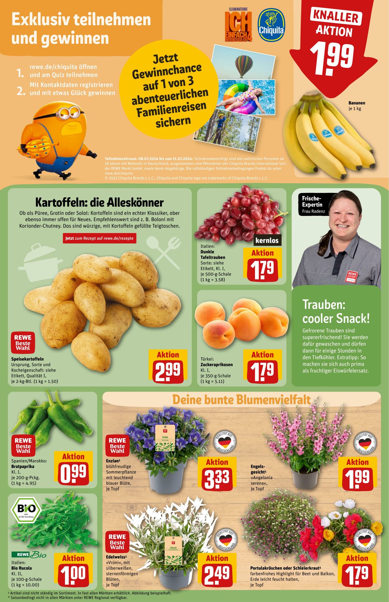 Prospekt Rewe 08.07.2024 - 13.07.2024