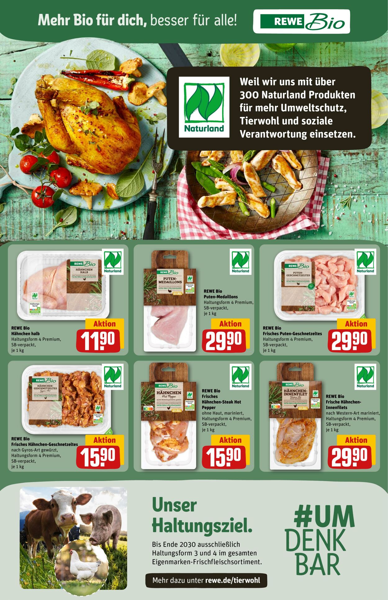 Prospekt Rewe 30.06.2024 - 06.07.2024