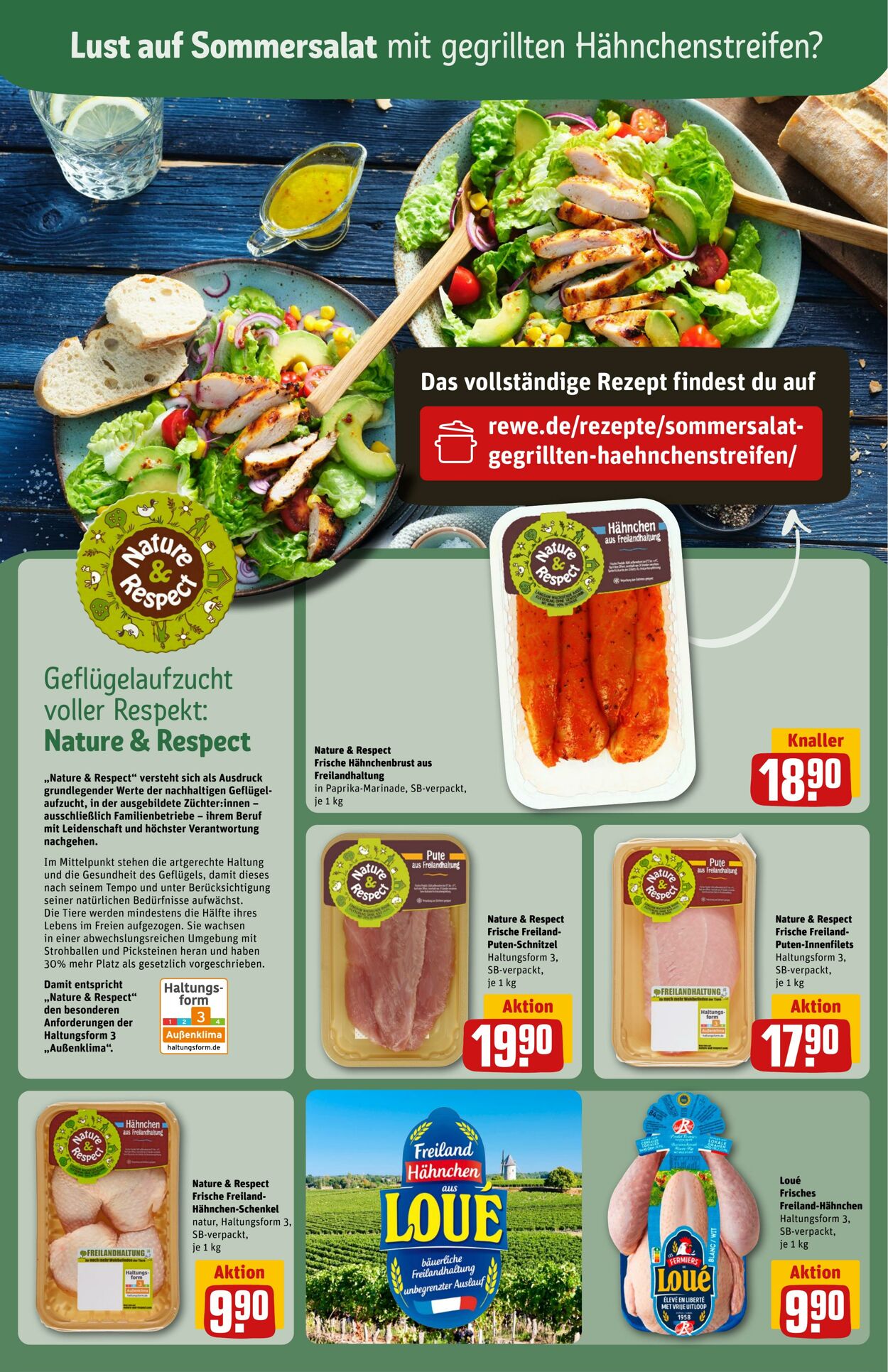 Prospekt Rewe 30.06.2024 - 06.07.2024