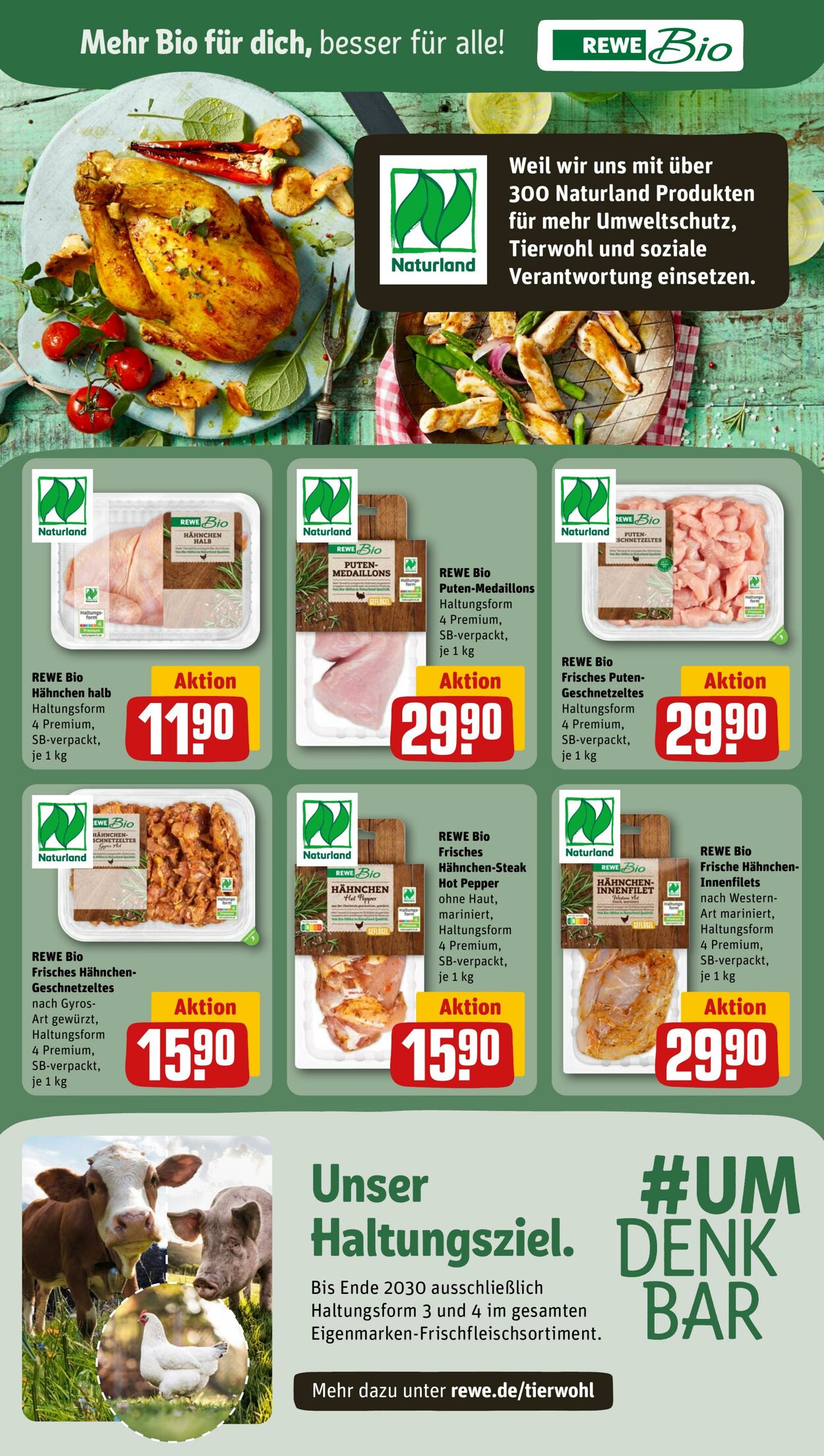 Prospekt Rewe 30.06.2024 - 06.07.2024