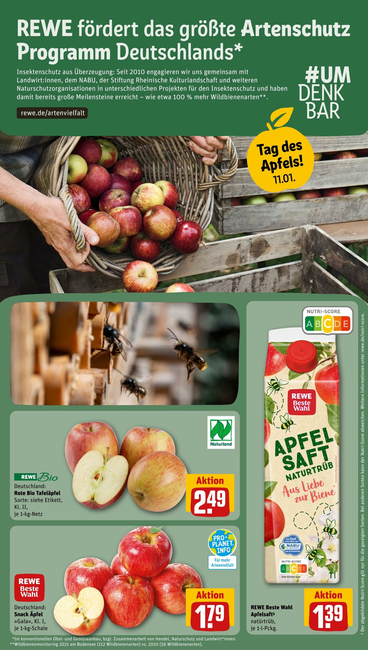 Prospekt Rewe 08.01.2024 - 13.01.2024