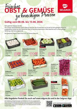 Prospekt Selgros 08.06.2026 - 13.06.2026