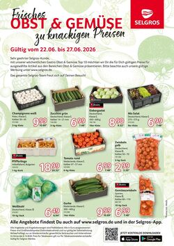 Prospekt Selgros 22.06.2026 - 27.06.2026