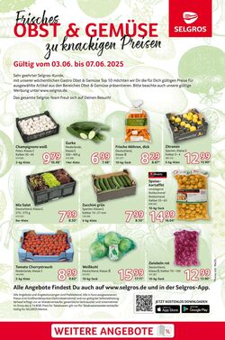 Prospekt Selgros 03.06.2025 - 07.06.2025