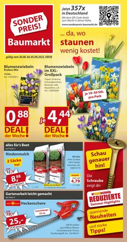 Prospekt Sonderpreis Baumarkt 23.08.2025 - 06.09.2025