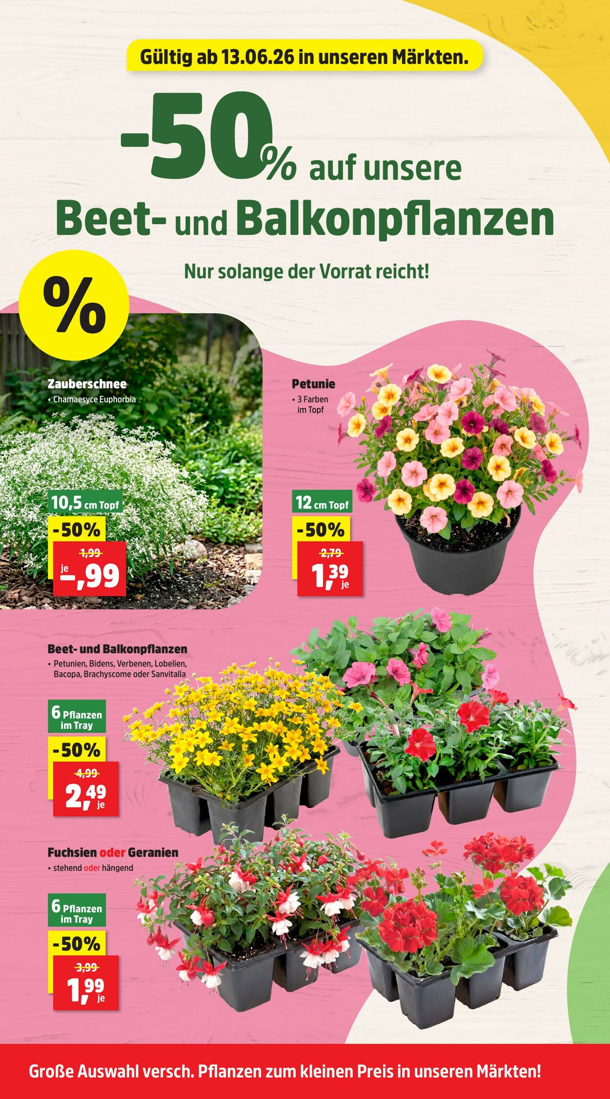 Prospekt Thomas Philipps 15.06.2026 - 20.06.2026