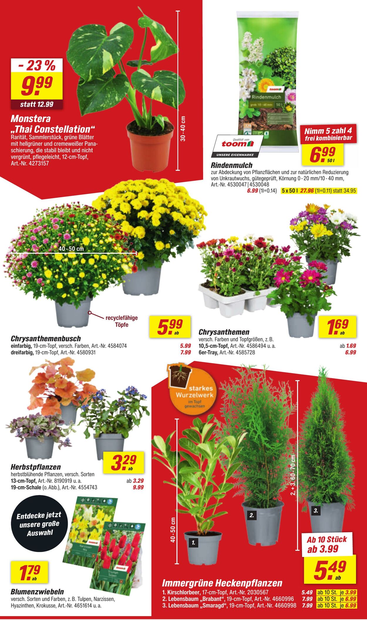 Prospekt Toom Baumarkt 09.09.2025 - 23.09.2025