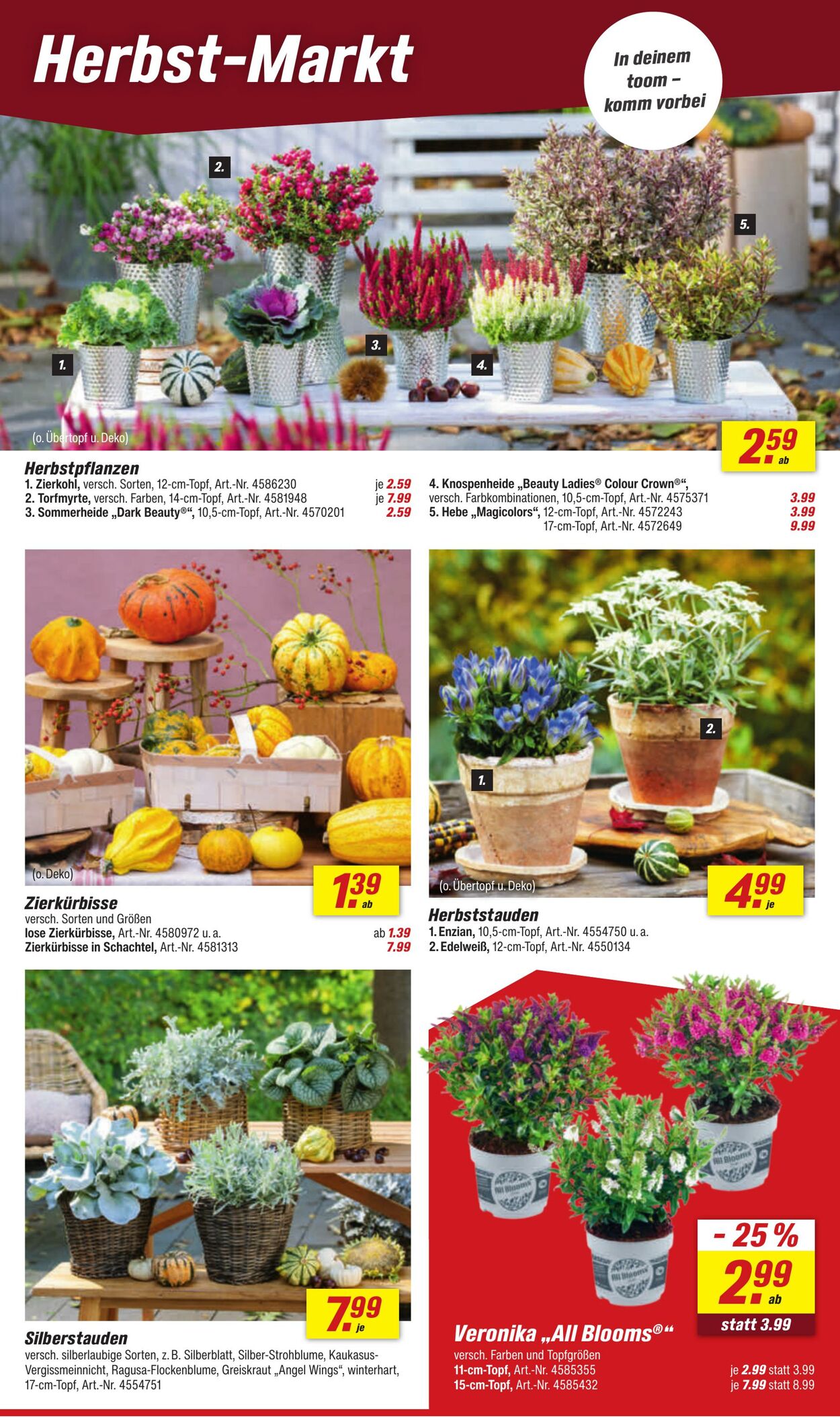 Prospekt Toom Baumarkt 09.09.2025 - 23.09.2025