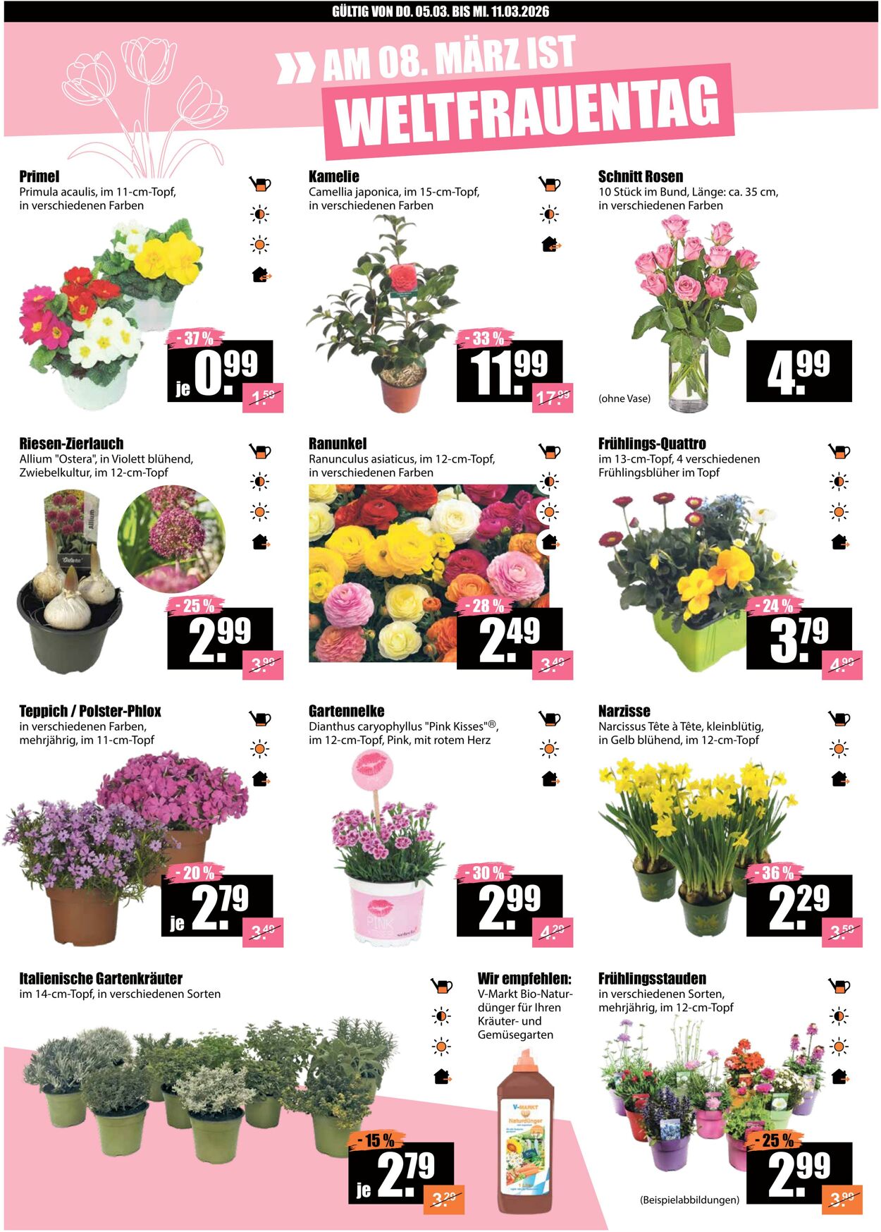 Prospekt V-Baumarkt 05.03.2026 - 11.03.2026