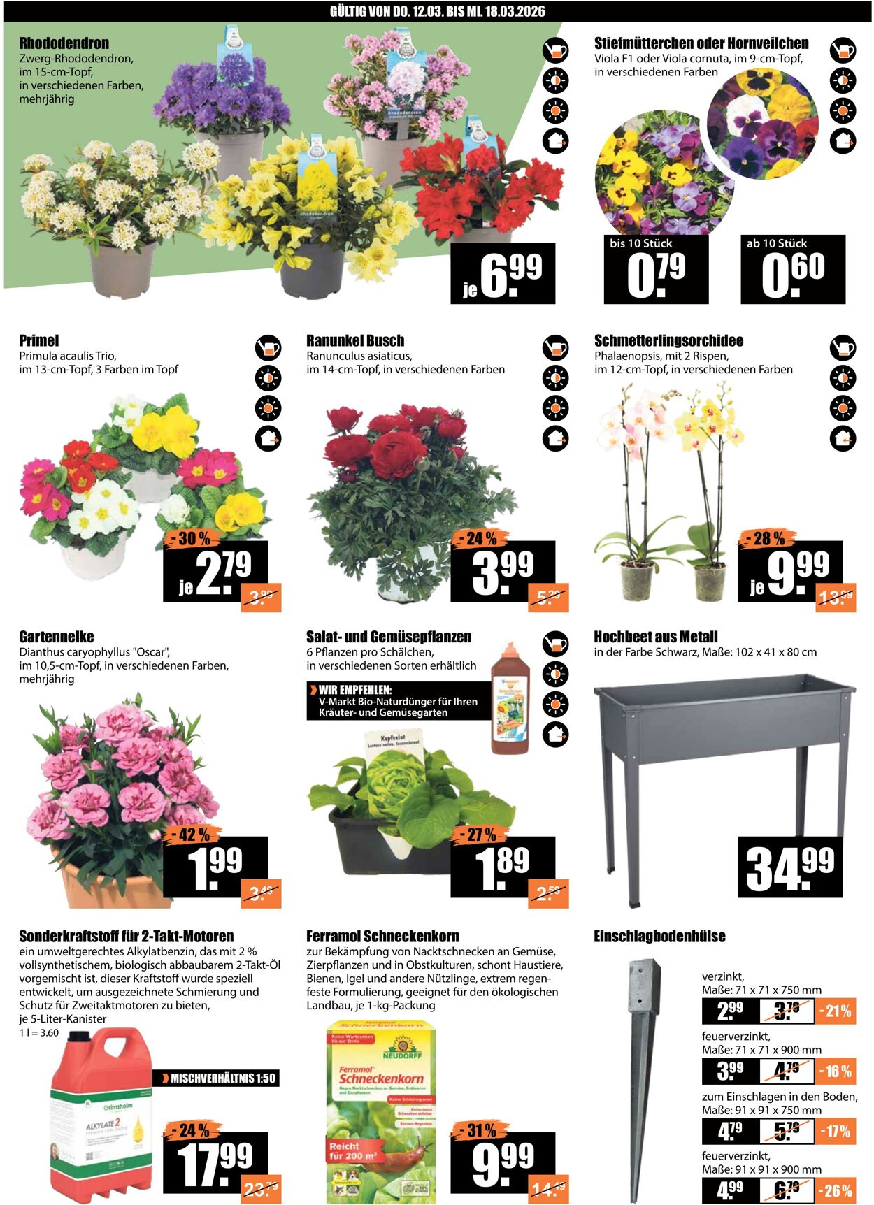 Prospekt V-Baumarkt 12.03.2026 - 18.03.2026
