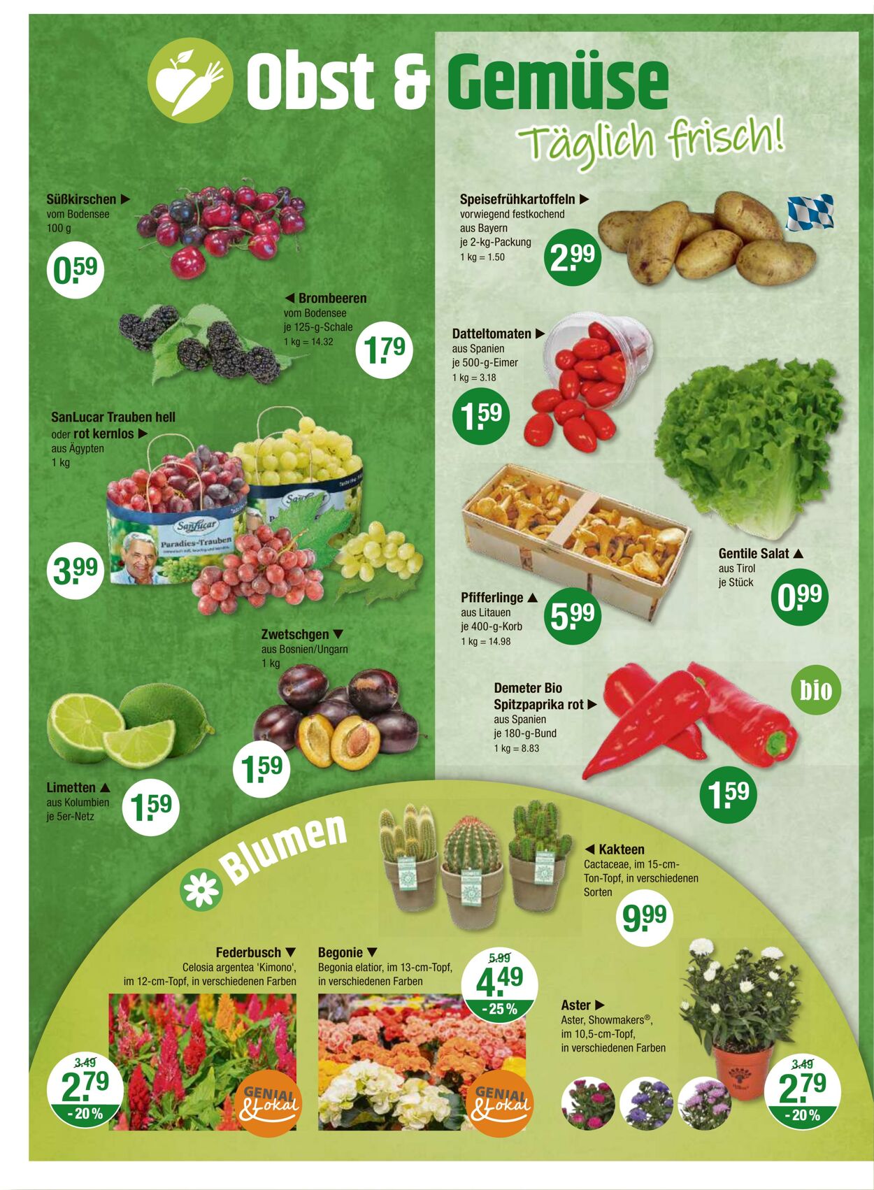 Prospekt V-Markt 11.07.2024 - 17.07.2024