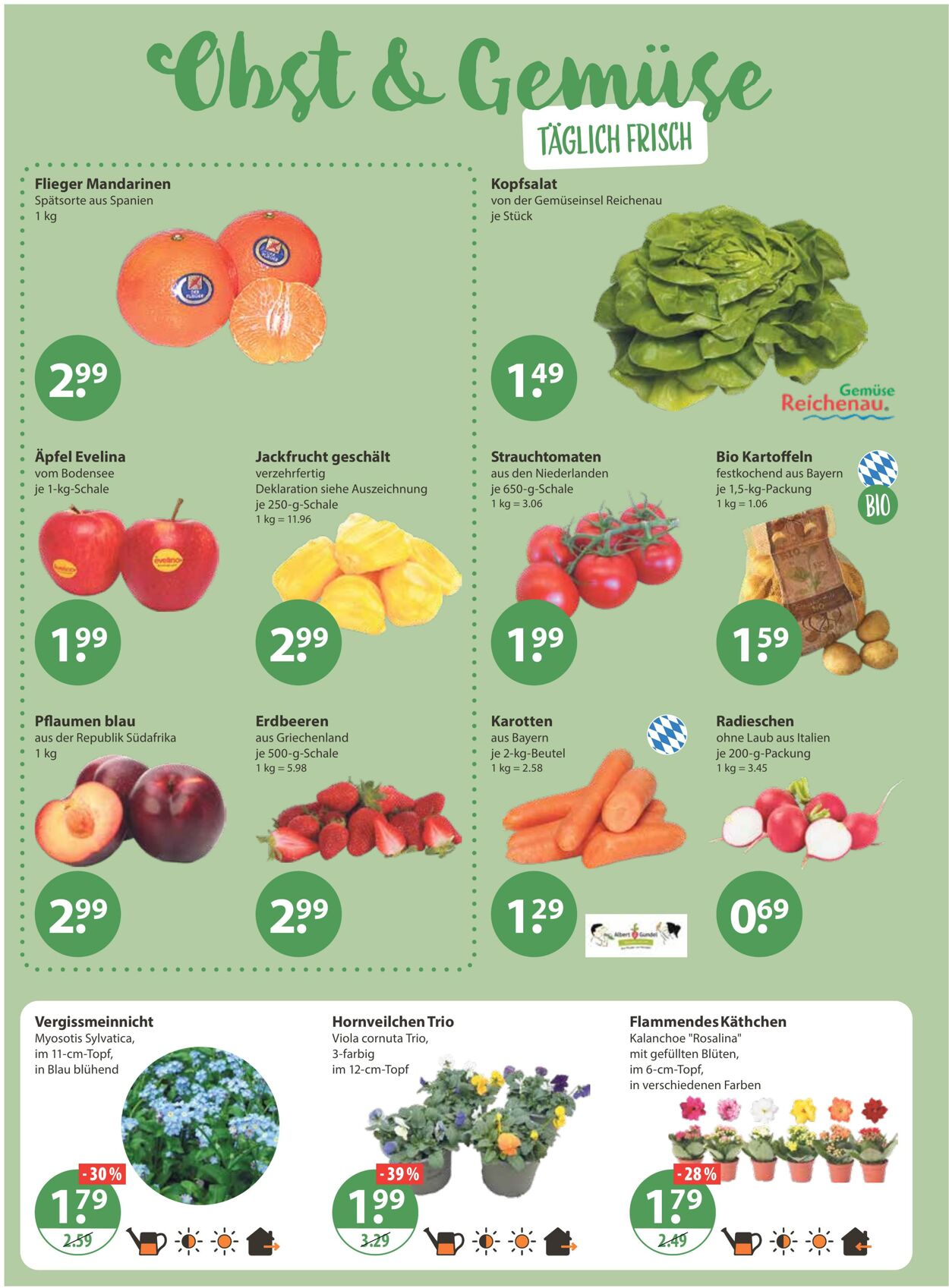 Prospekt V-Markt 26.02.2026 - 04.03.2026
