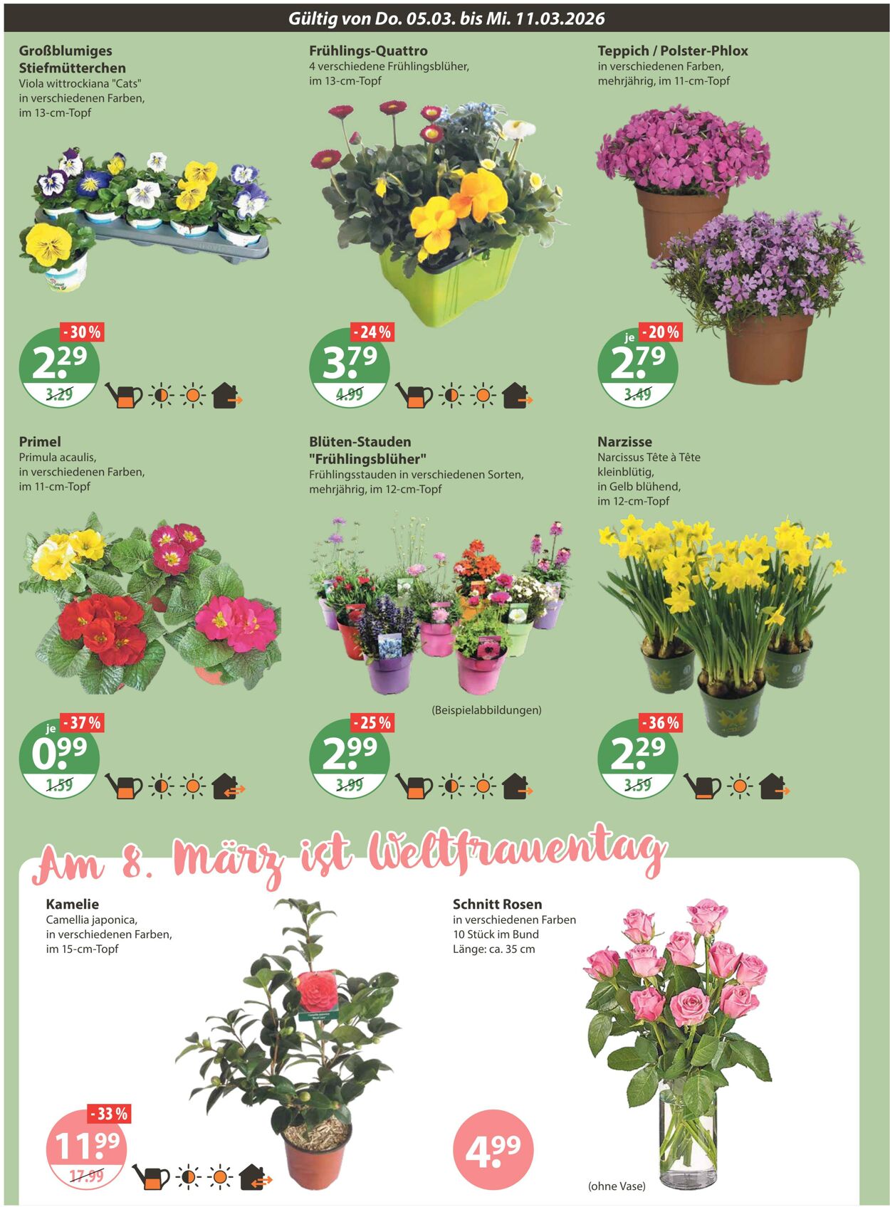 Prospekt V-Markt 05.03.2026 - 11.03.2026