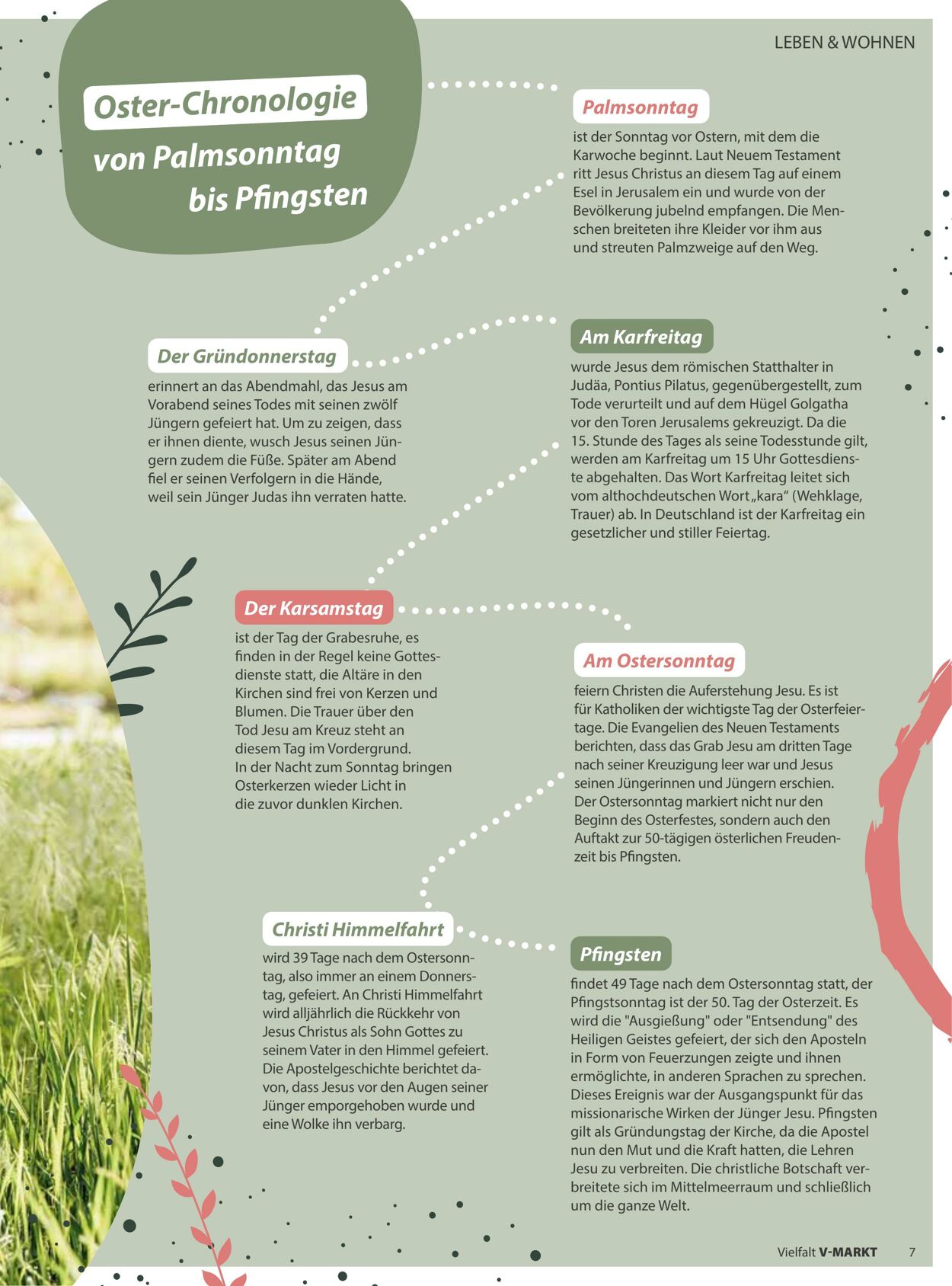 Prospekt V-Markt 28.02.2026 - 08.03.2026