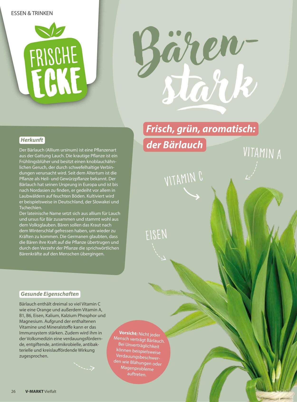 Prospekt V-Markt 28.02.2026 - 08.03.2026